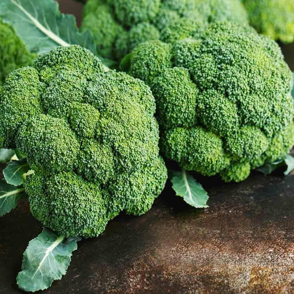 Broccoli seeds non GMO for planting
