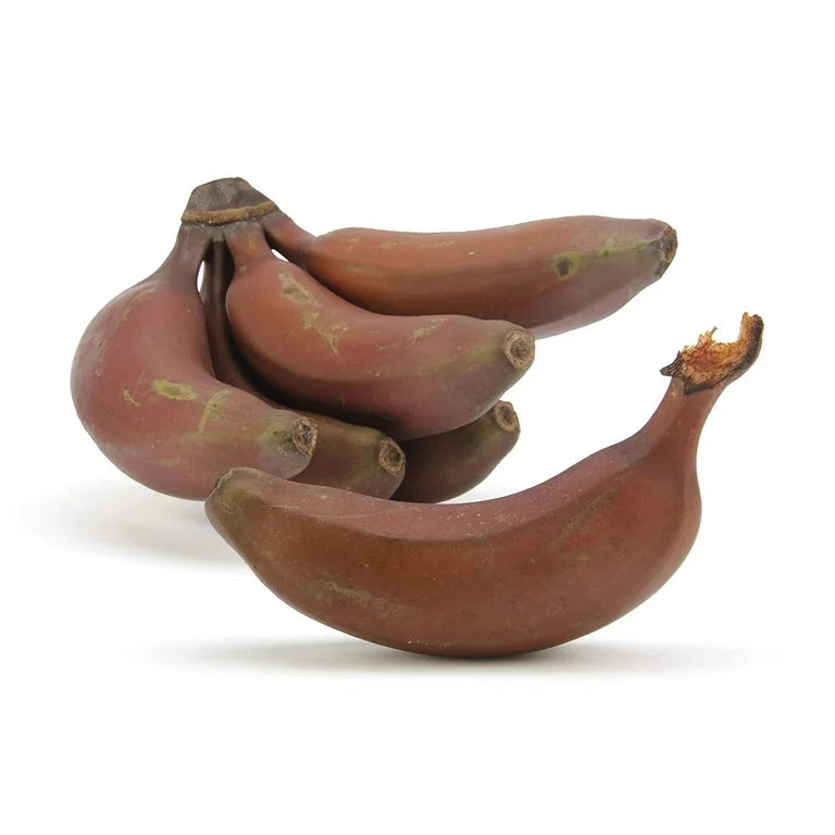 Brown banana seeds for planting tropical garden plants