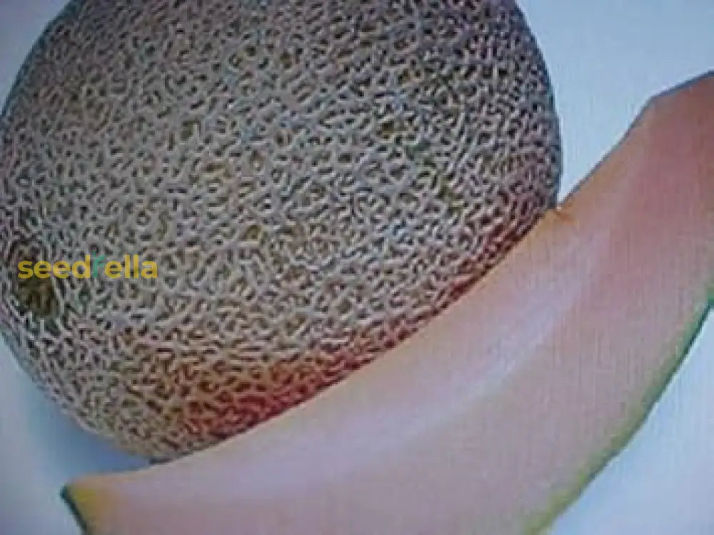 Brown Cantaloupe Melon Seeds for Planting Sweet & Juicy Fruit