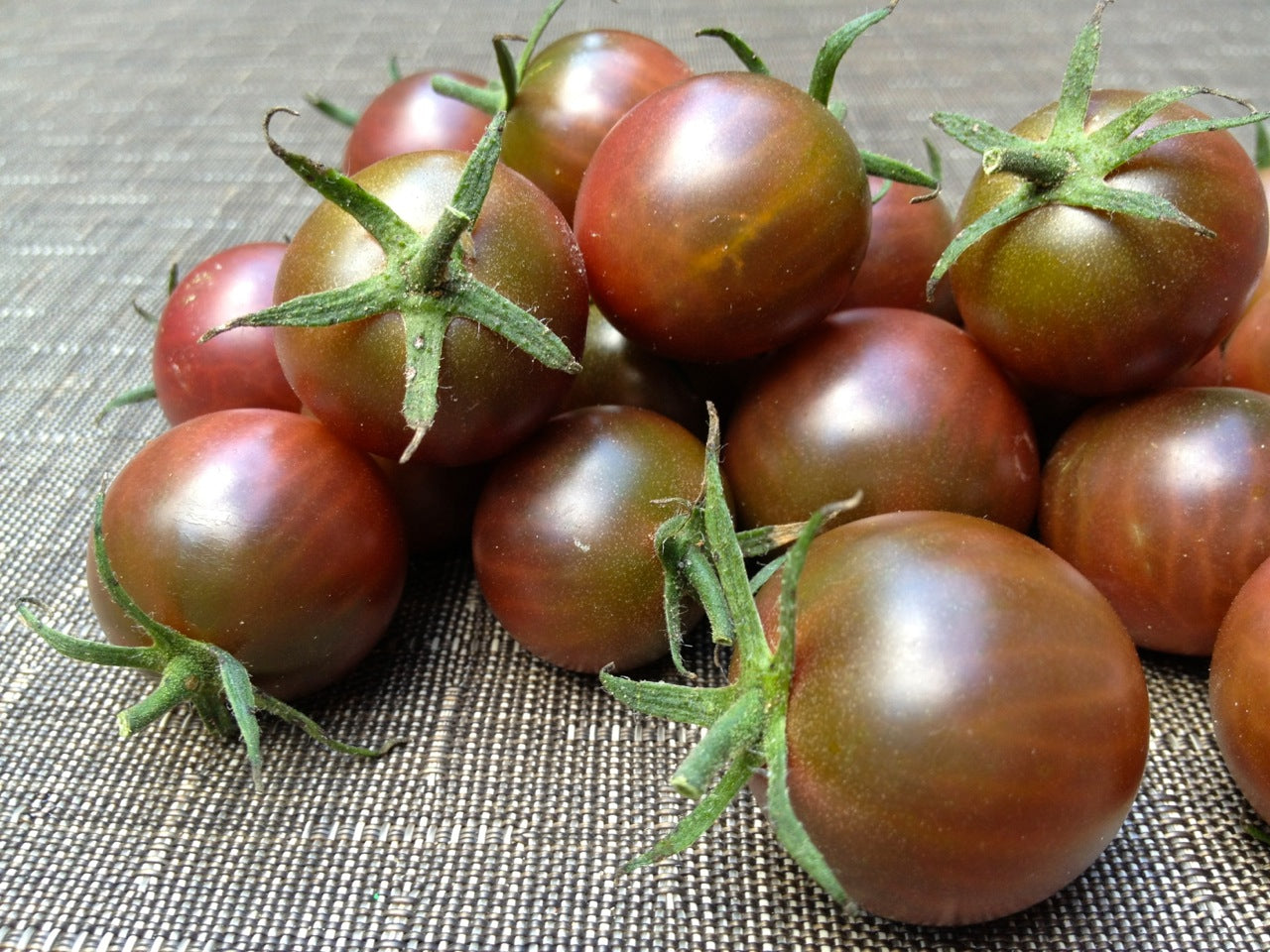 Brown Flesh Organic tomato seeds for planting