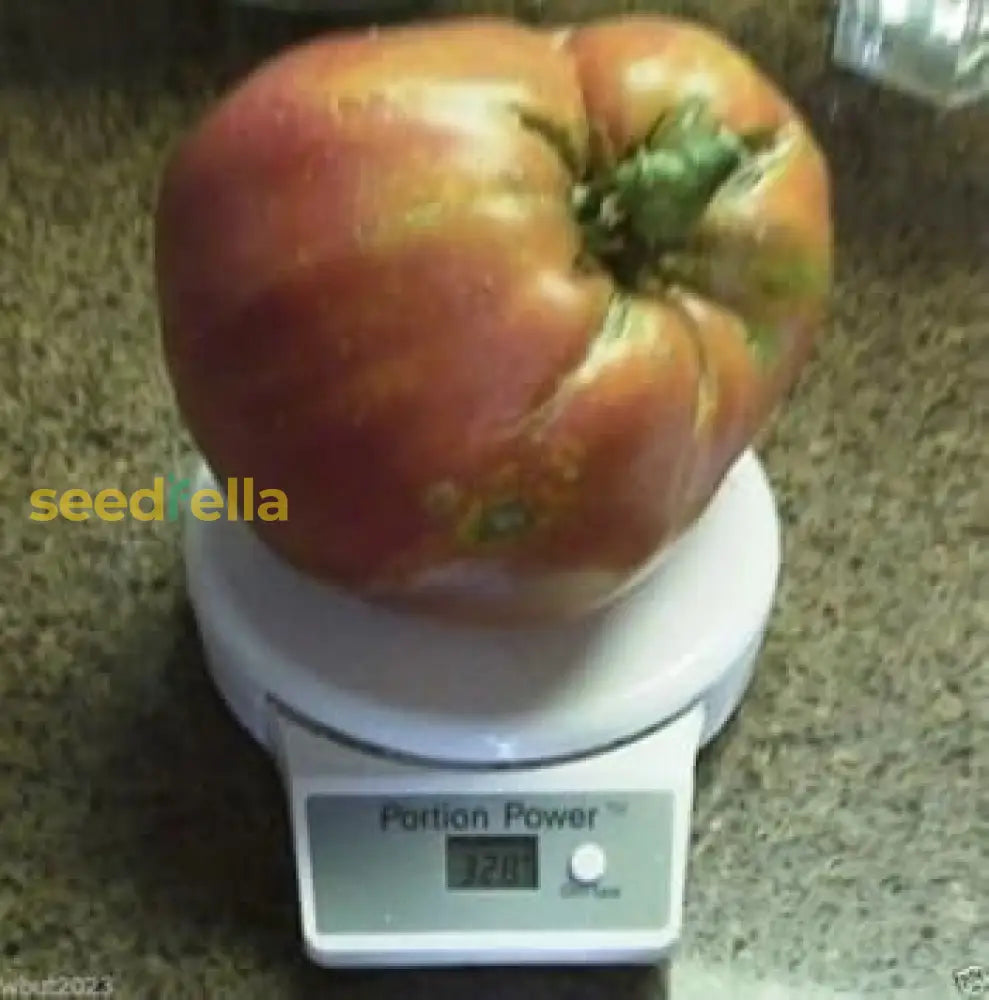 Brown Giant Tomato Seeds For Planting Vegetable Seeds