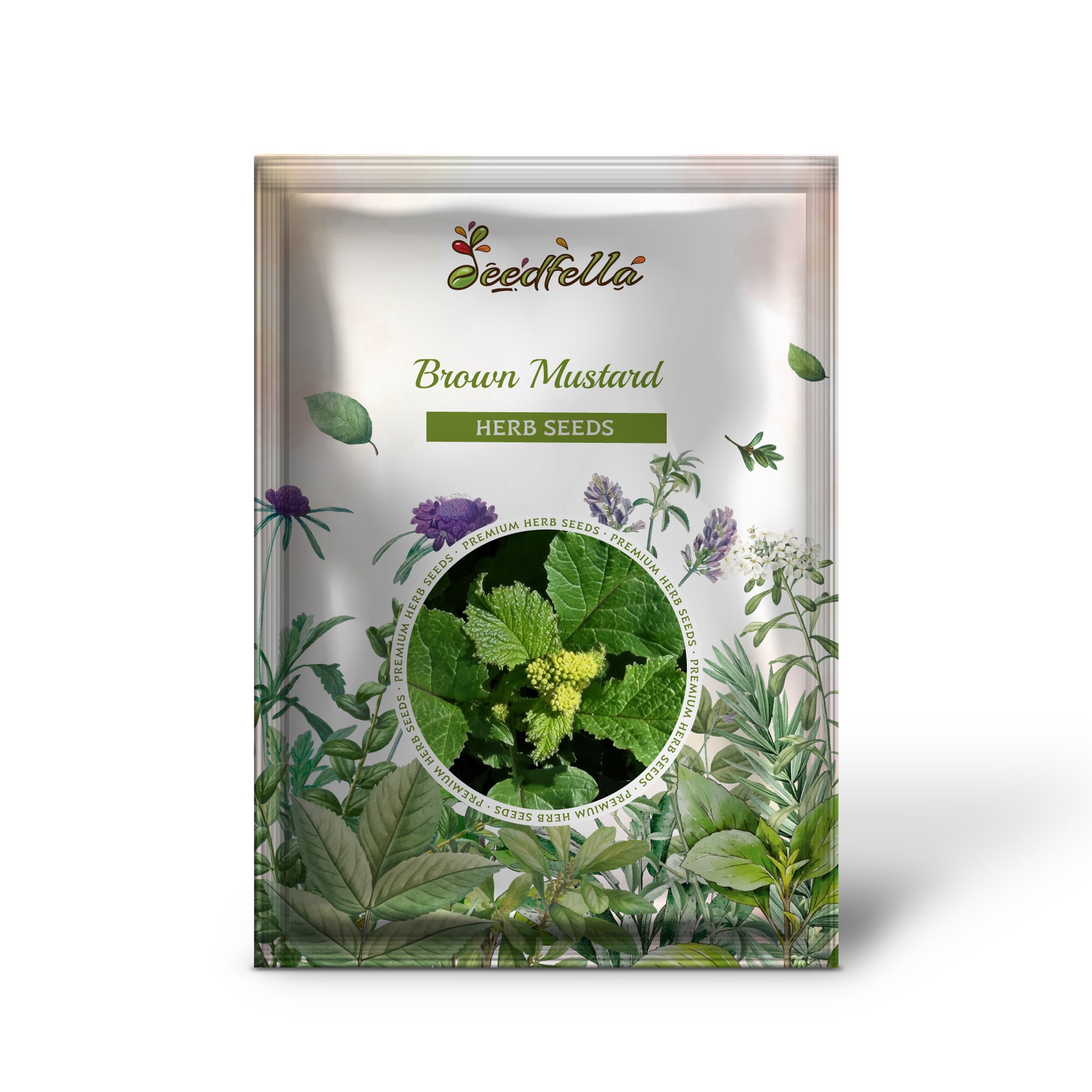 Leafy green mustard plants grown from Brown Mustard seeds