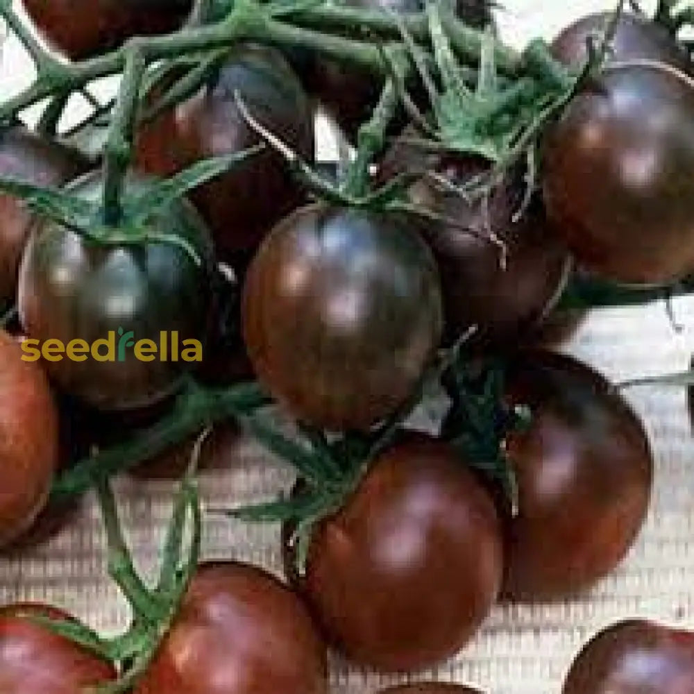 Brown Tomato Seeds For Planting Vegetable Seeds