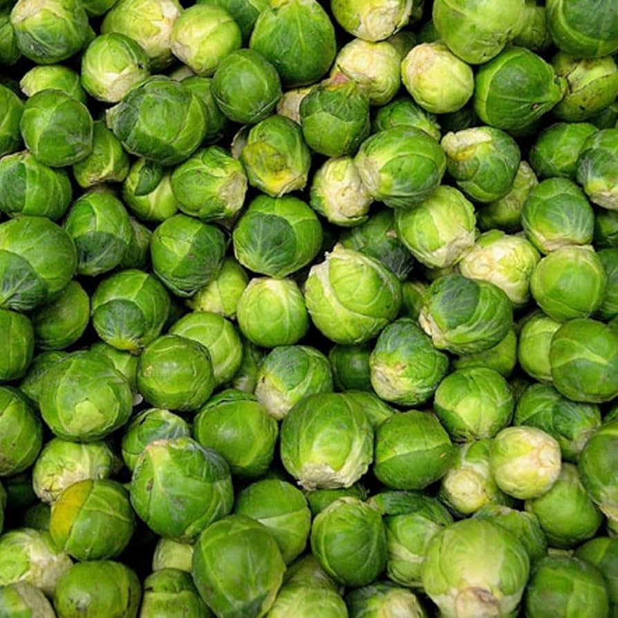 Brussels Sprouts seeds growing guide