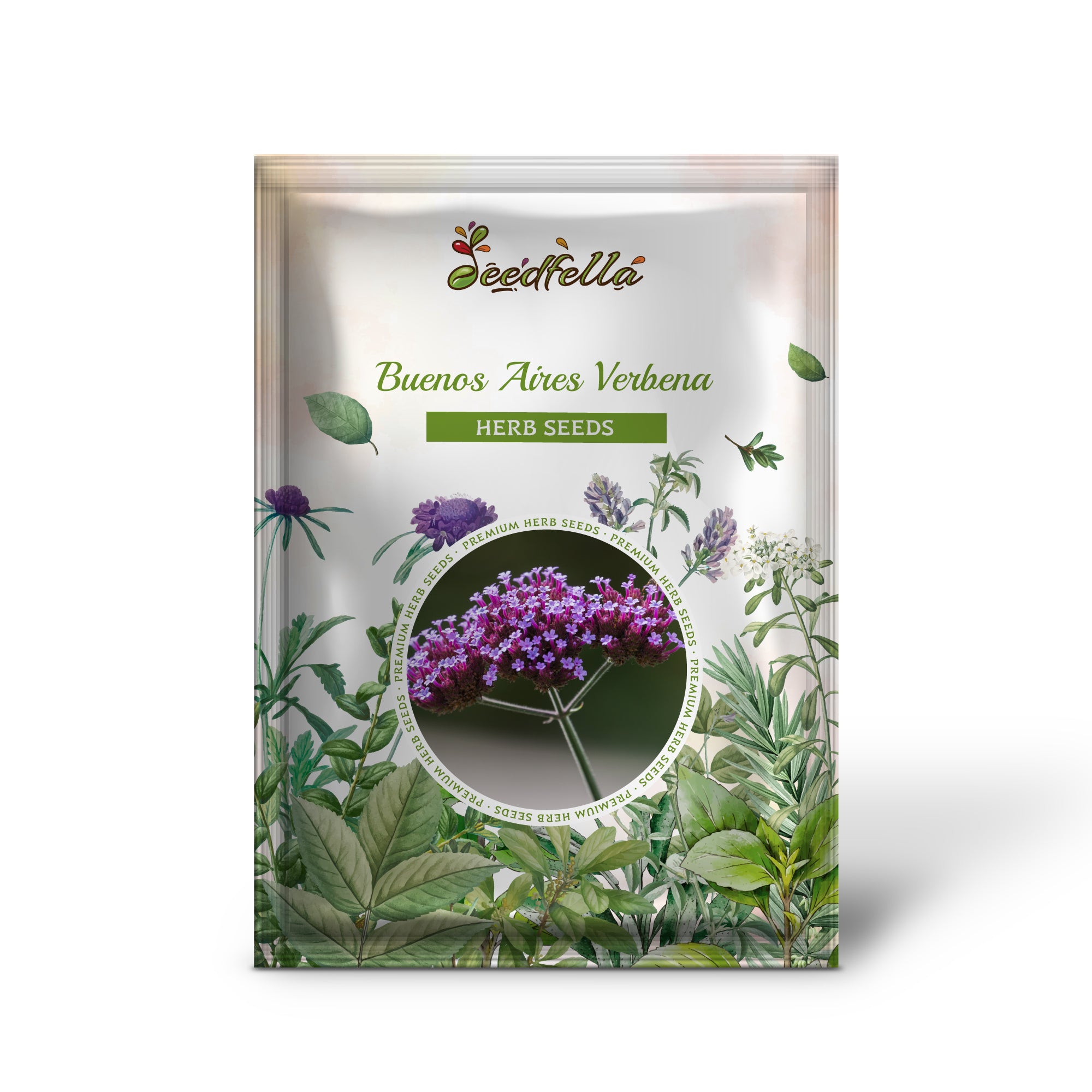 Close-up of Verbena bonariensis seeds for planting