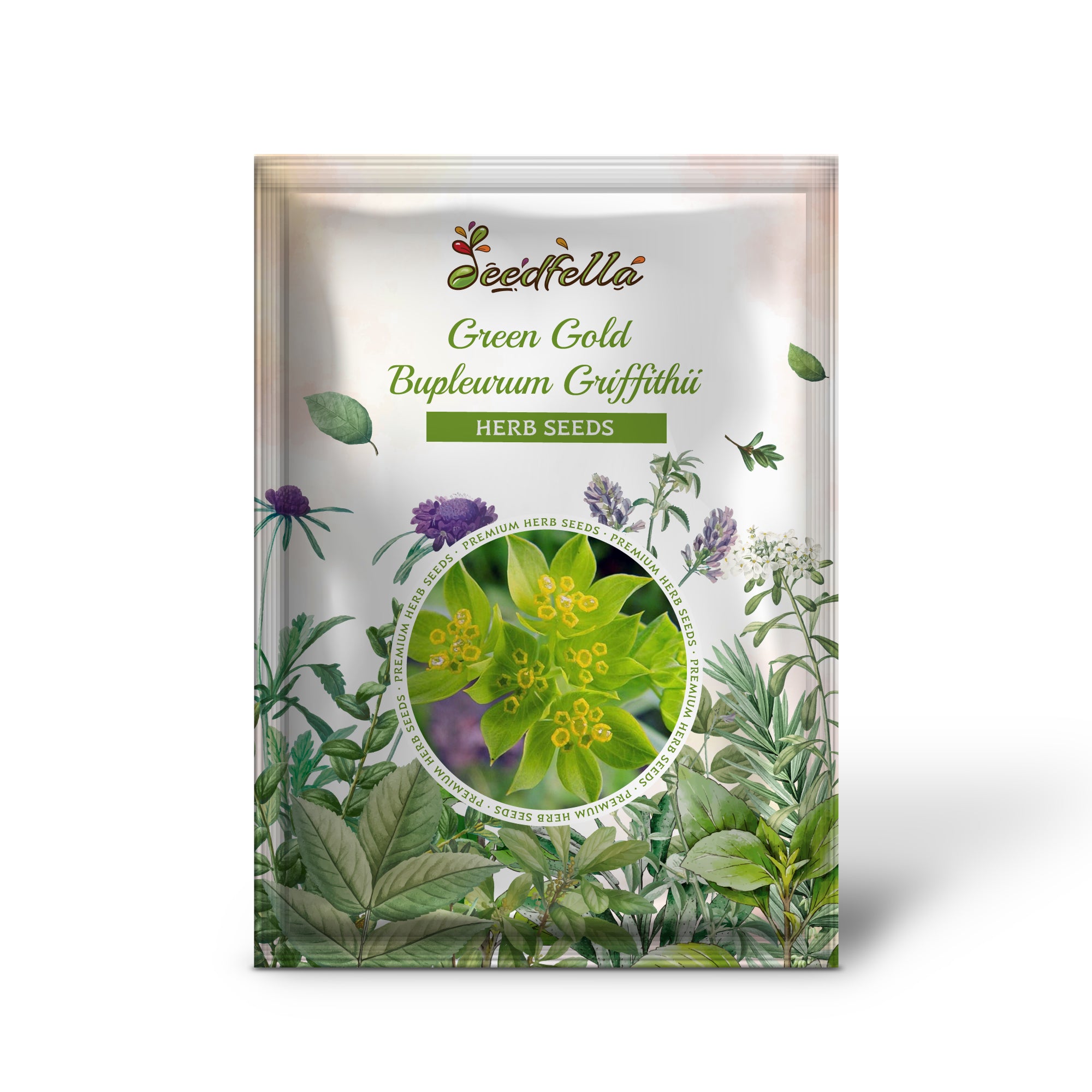 Close-up of Green Gold Bupleurum seeds