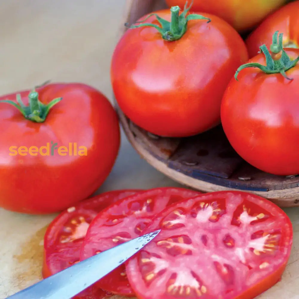 Burbank Tomato Seeds For Juicy Slices Planting Vegetable Seeds