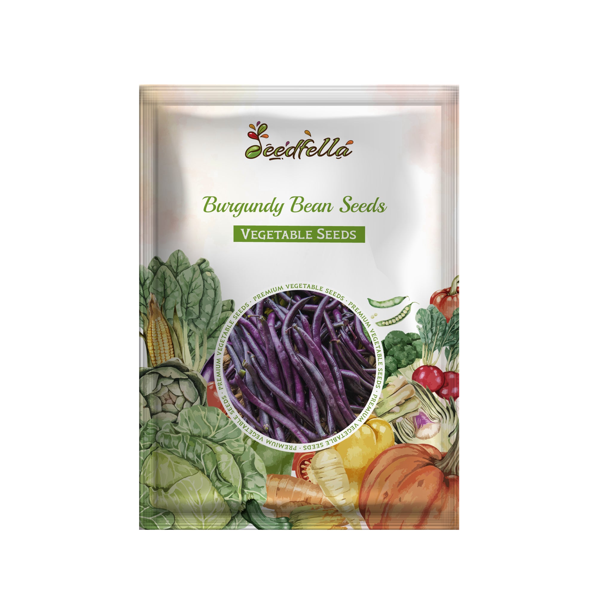 Burgundy Bean seedlings growing in garden