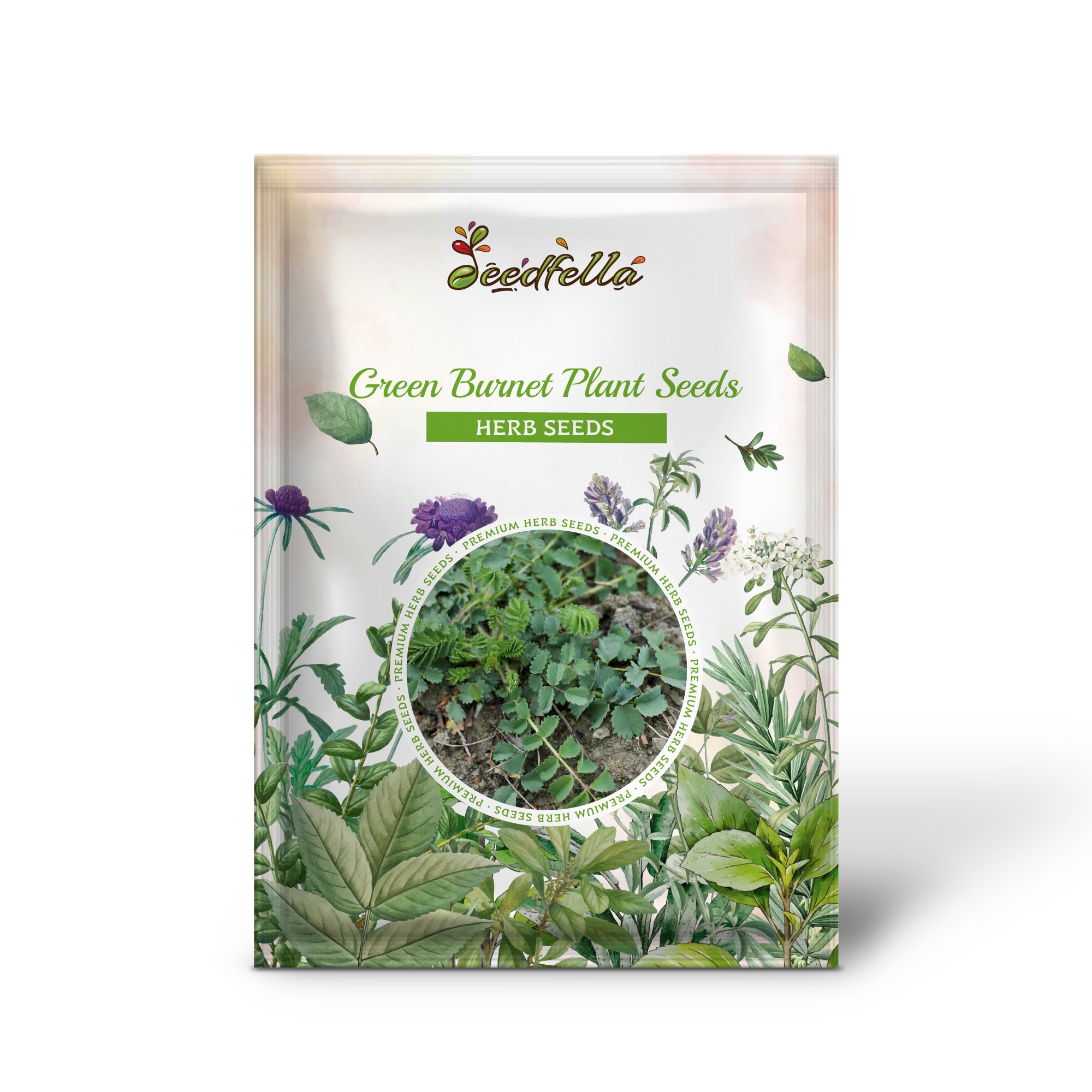 Premium Non-GMO Green Burnet Seeds Pack