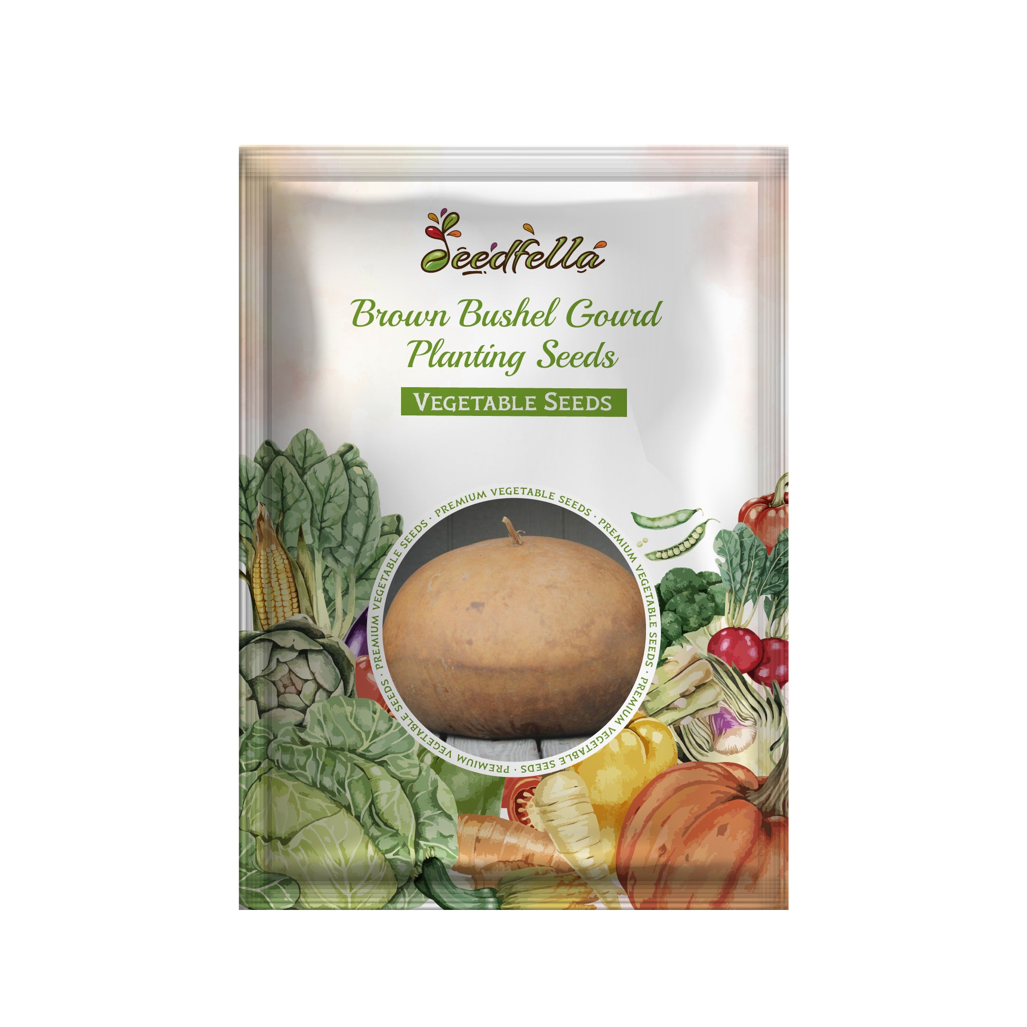 Bushel Gourd seedlings growing in garden