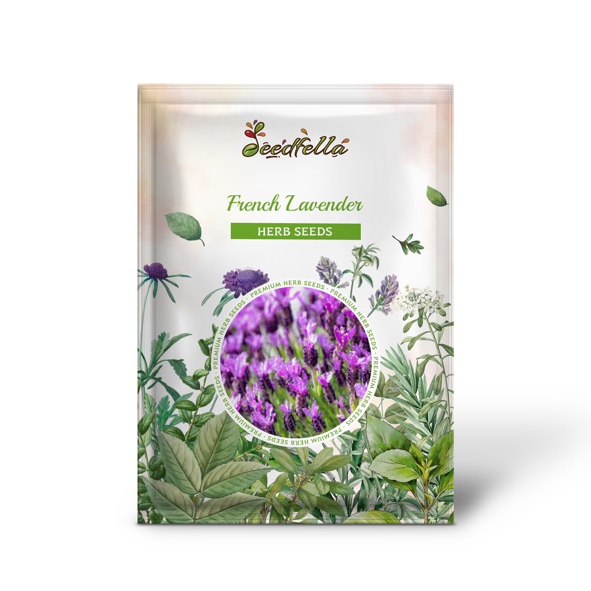 Premium Butterfly Lavender Seed Pack for Garden