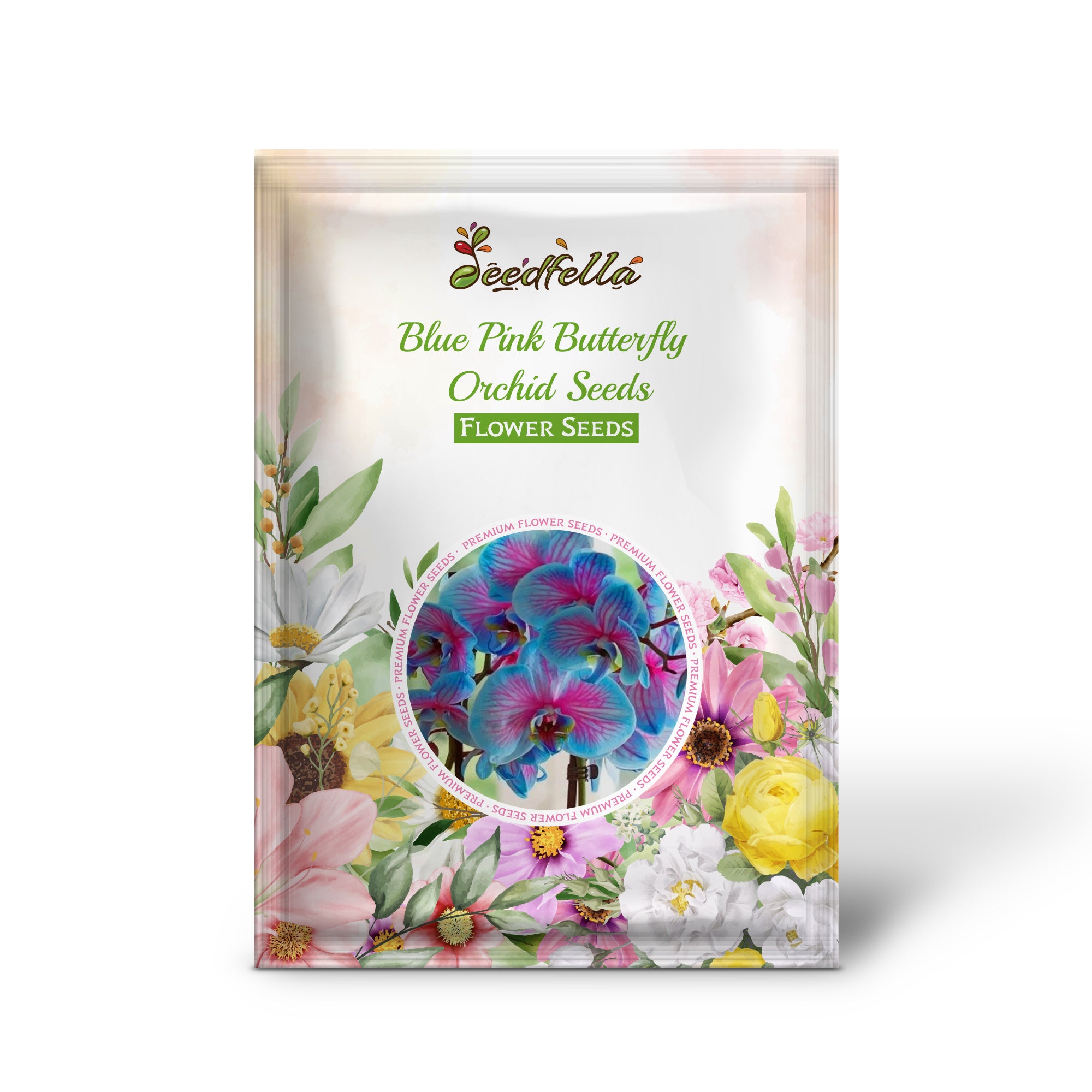 Blue and Pink Butterfly Orchid flowers in full bloom