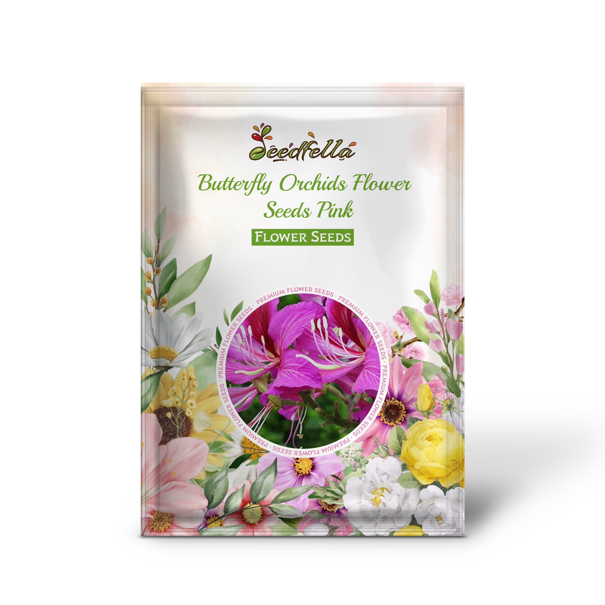 Butterfly Orchid Flower Seeds for indoor and outdoor gardening