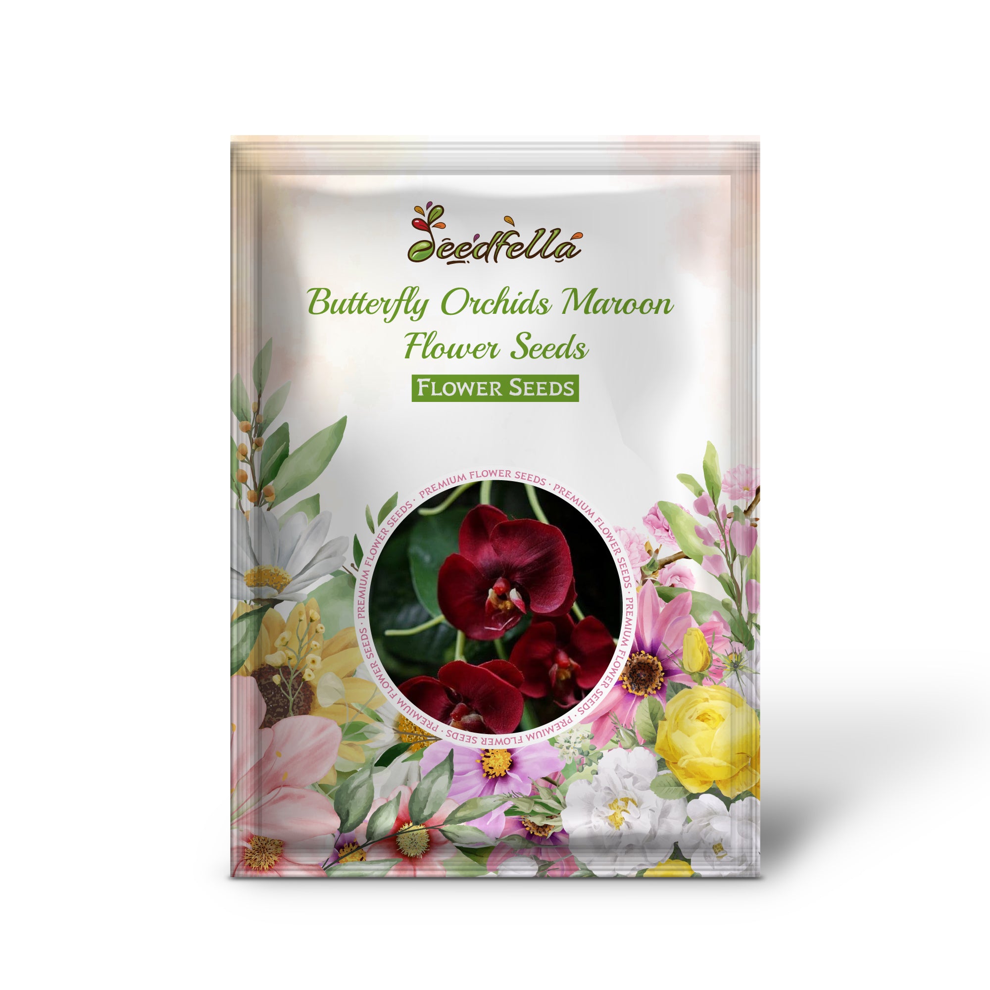 Non GMO Butterfly Maroon Orchid seeds for home gardening
