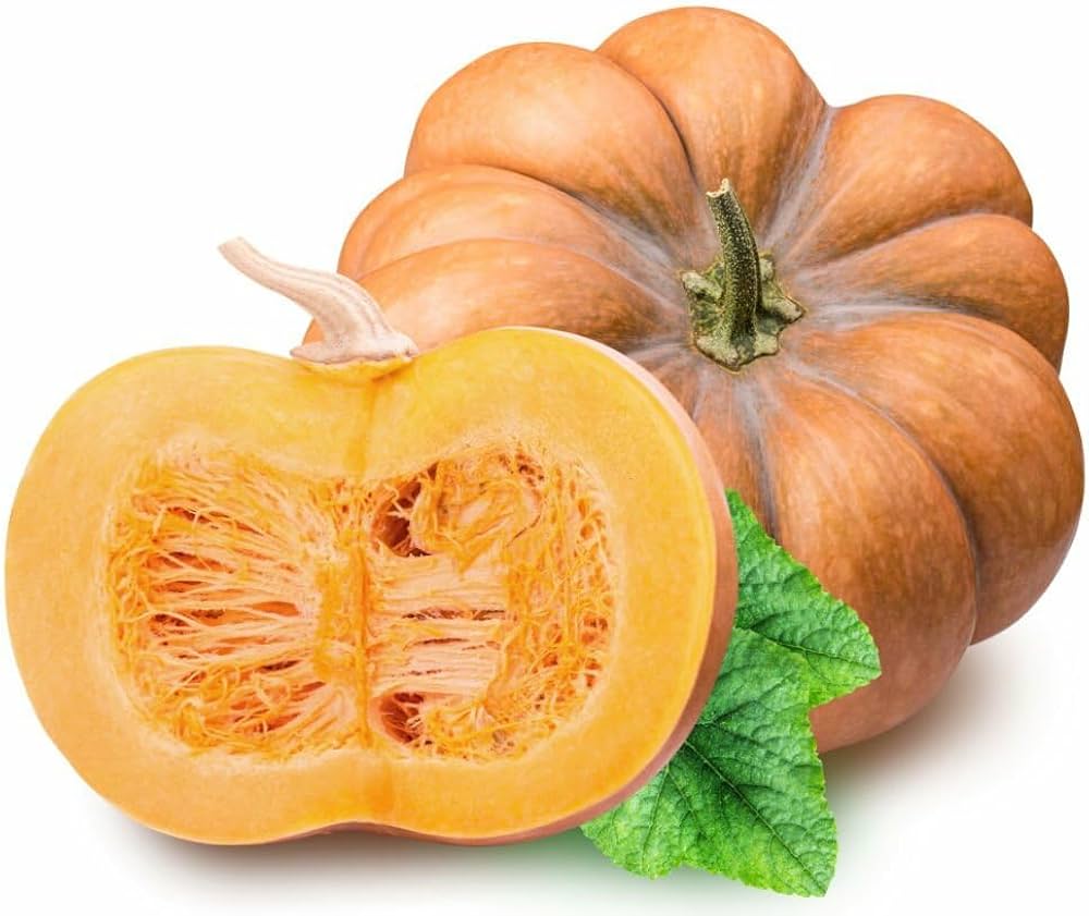 Calabaza pumpkin plants growing from high quality seeds