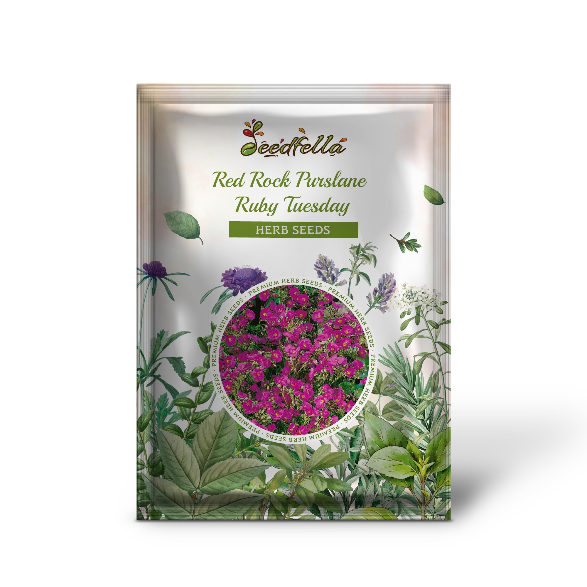 Close-up of Red Rock Purslane 'Ruby Tuesday' bright red flowers