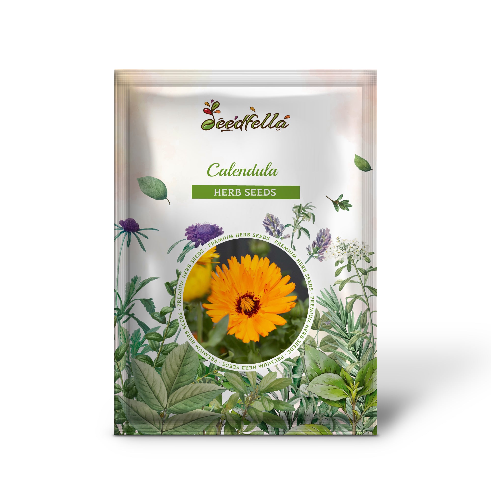 Calendula officinalis flowers from seeds attracting pollinators