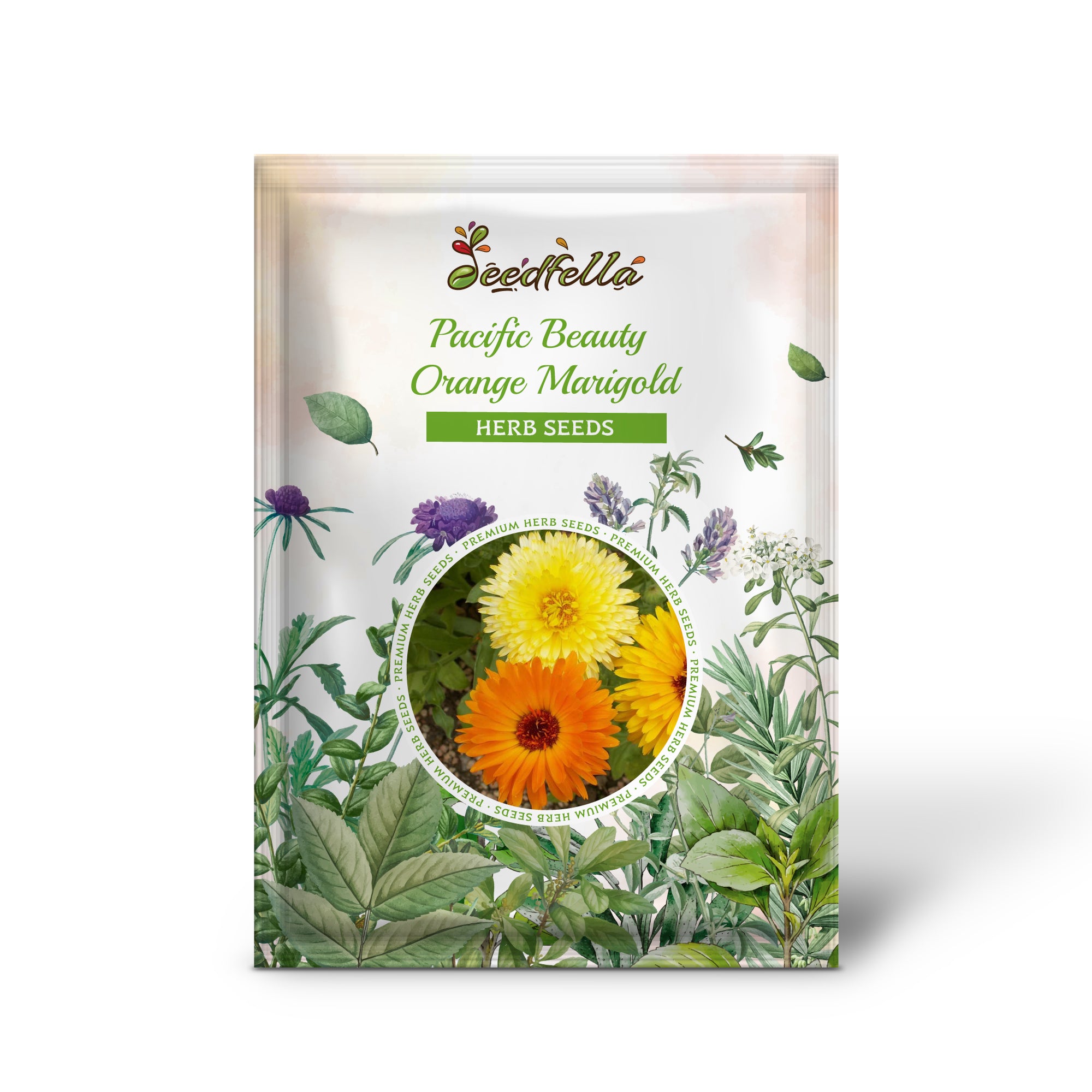 Bright Orange Calendula officinalis Blooms from Pacific Beauty Marigold Seeds