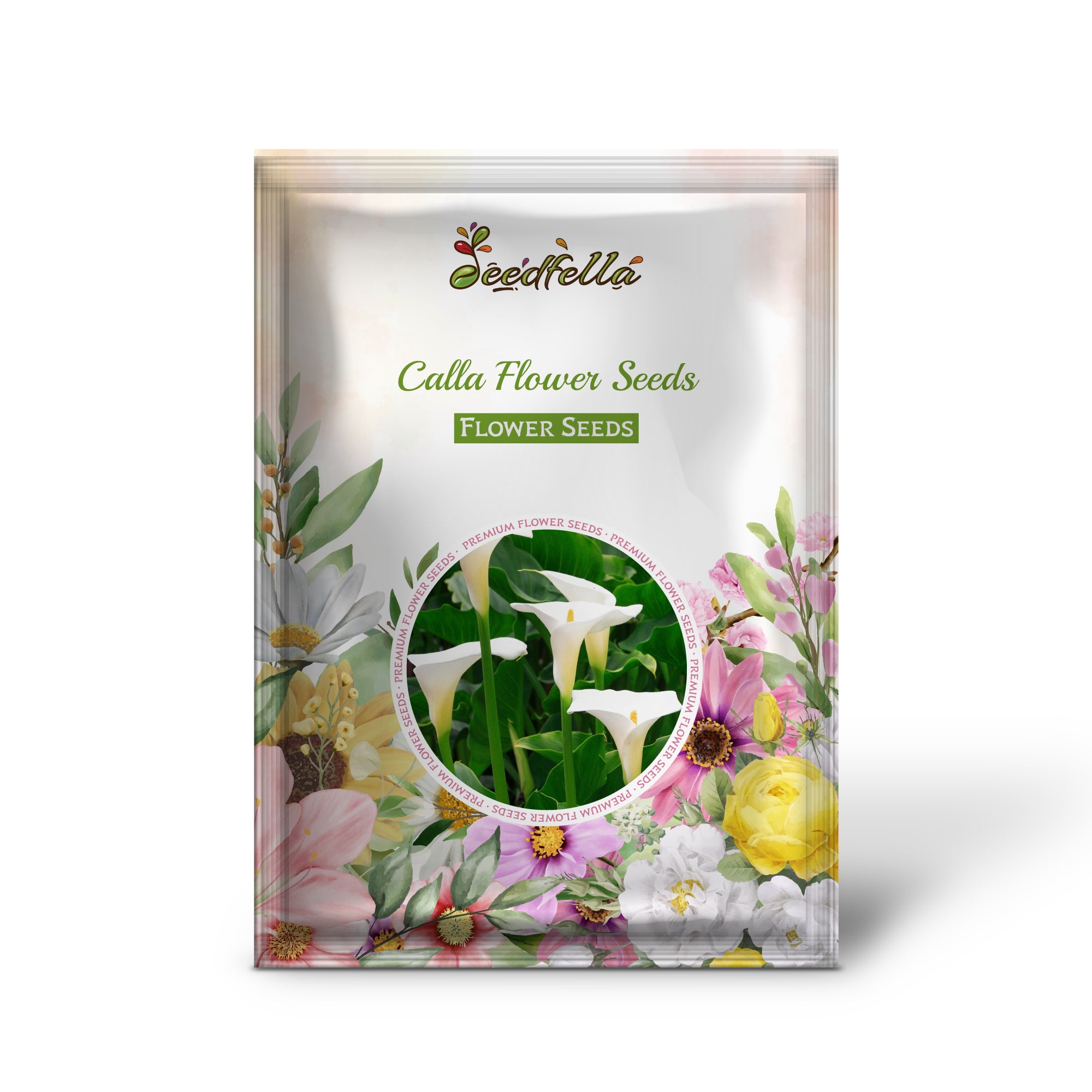 Calla Lily Seeds For Planting