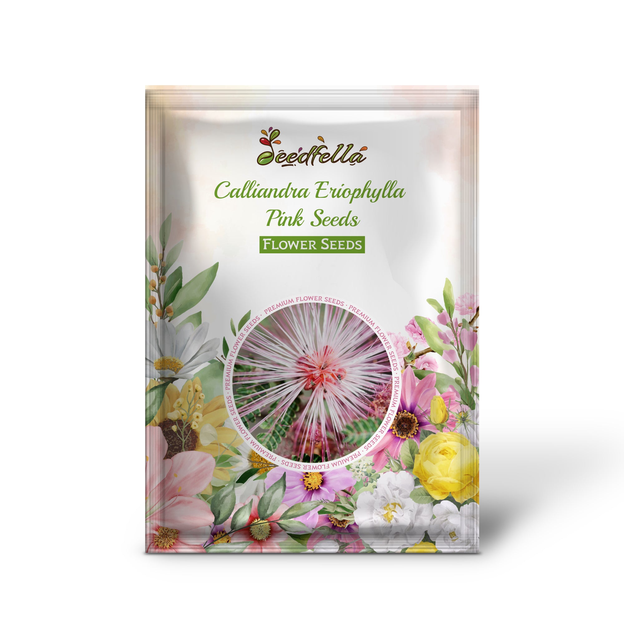 Non GMO Pink Calliandra Eriophylla seeds for home gardening
