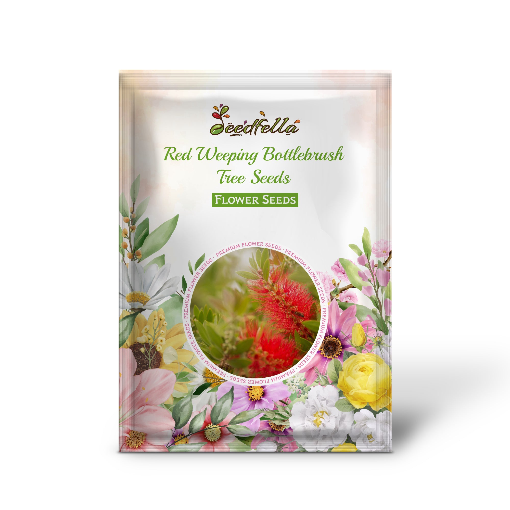 Callistemon Viminalis Seeds for colorful garden planting