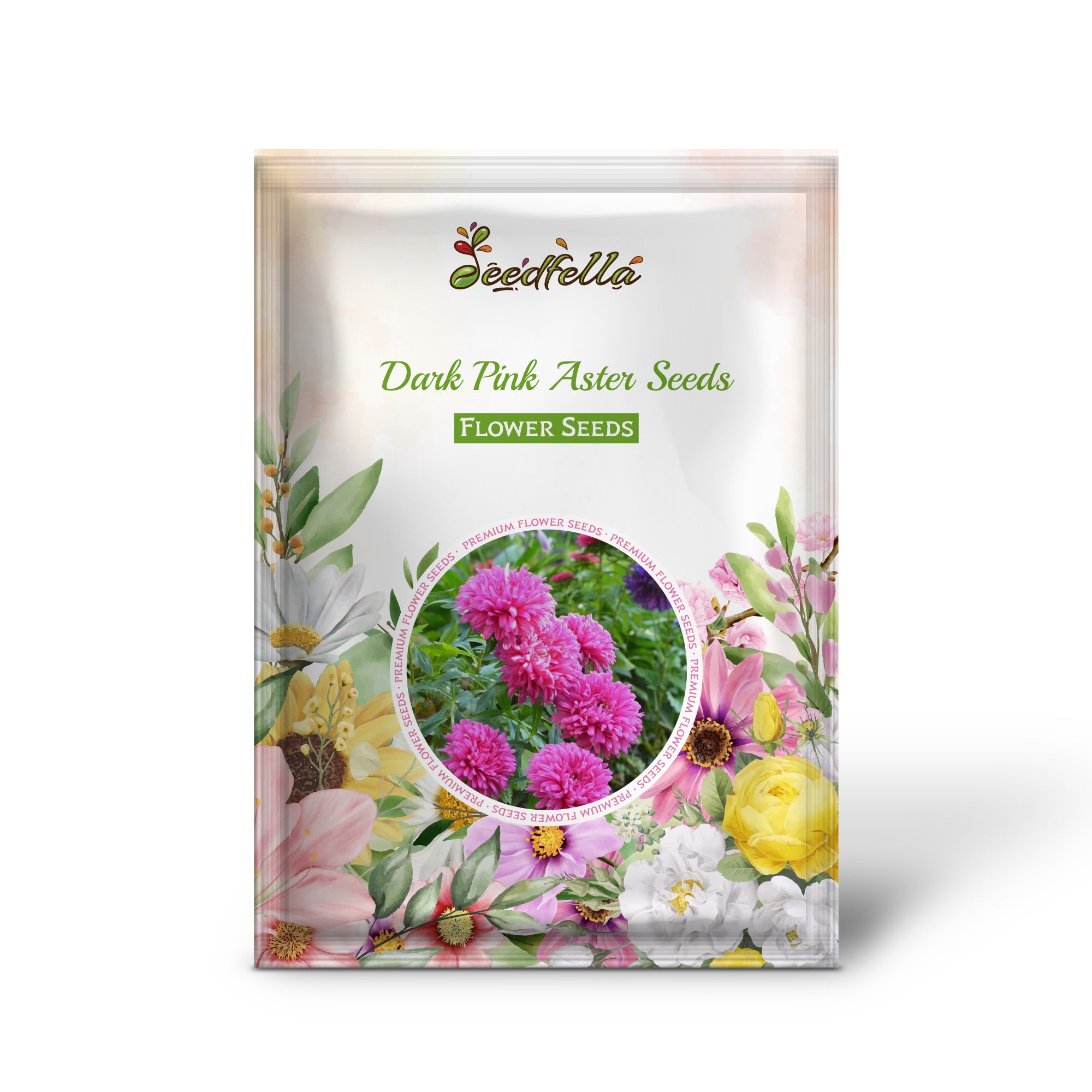 Callistephus Dark Pink Aster Blooms