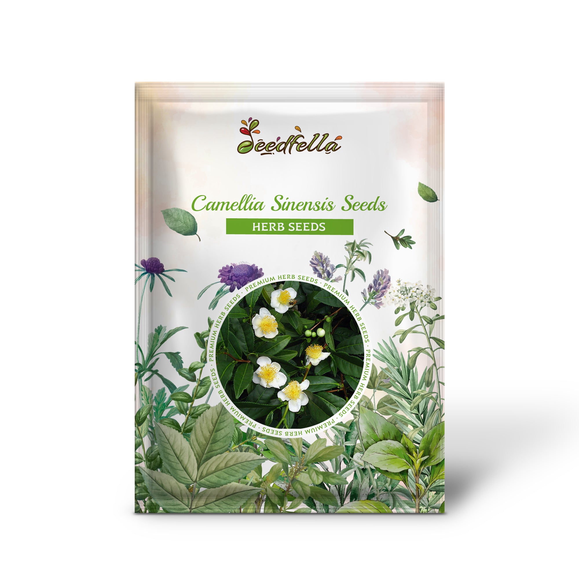 Premium Non-GMO Camellia Sinensis Tea Plant Seeds Pack