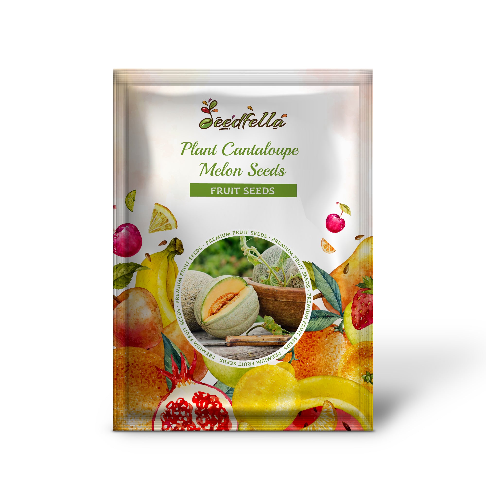 Non-GMO Cantaloupe Melon Seeds germination process