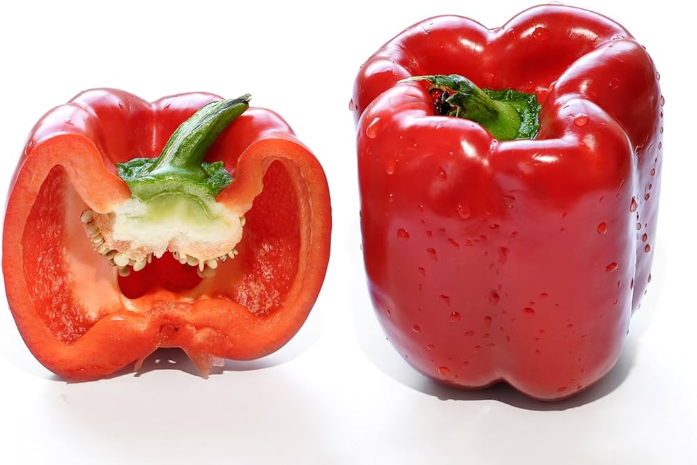 Pepper plants growing in a garden bed