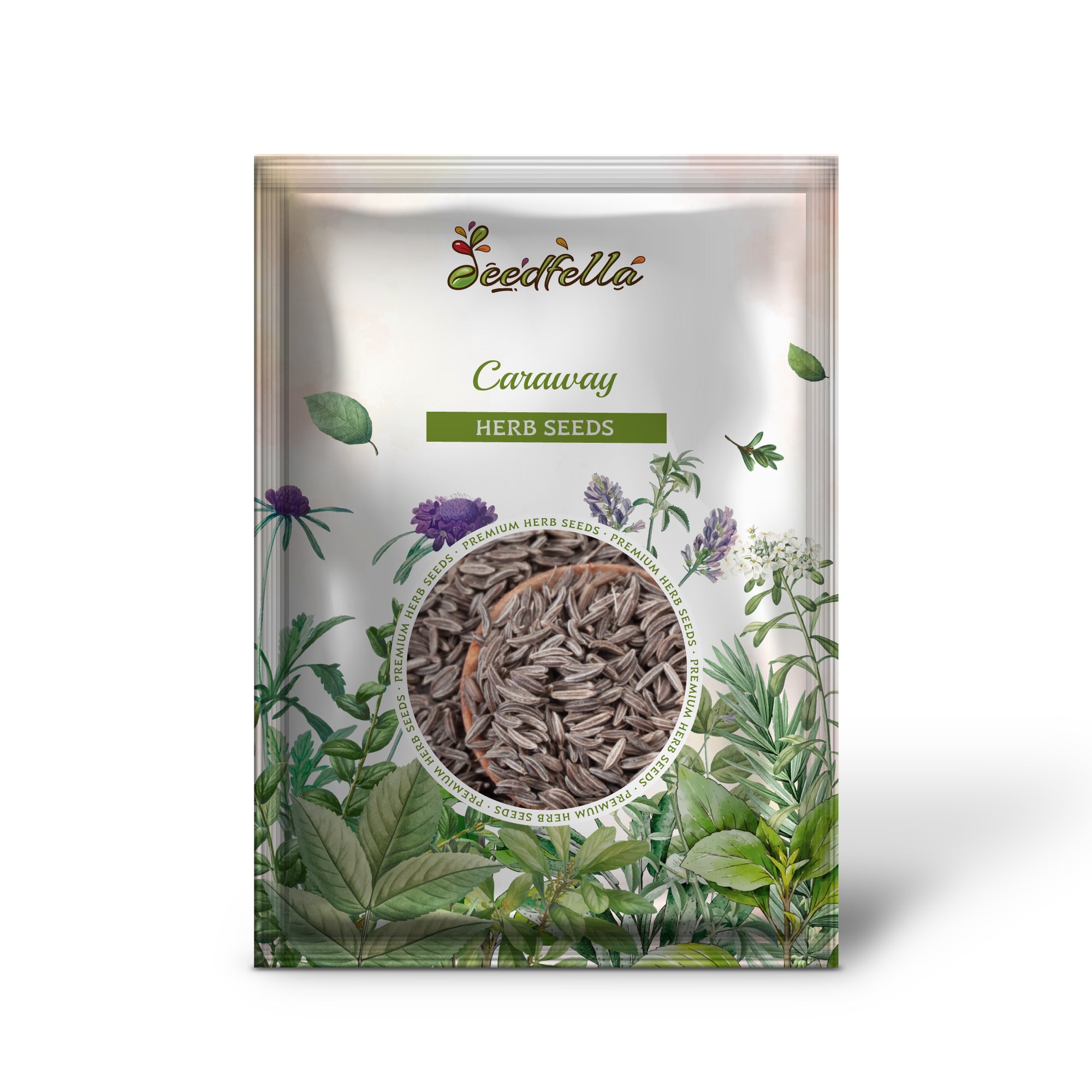 Non-GMO heirloom Caraway seeds for US herb gardens