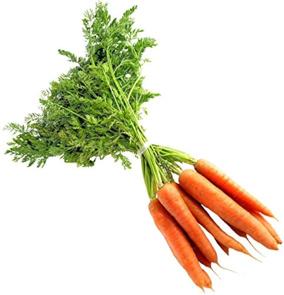 Premium carrot seeds for planting in raised beds and home gardens
