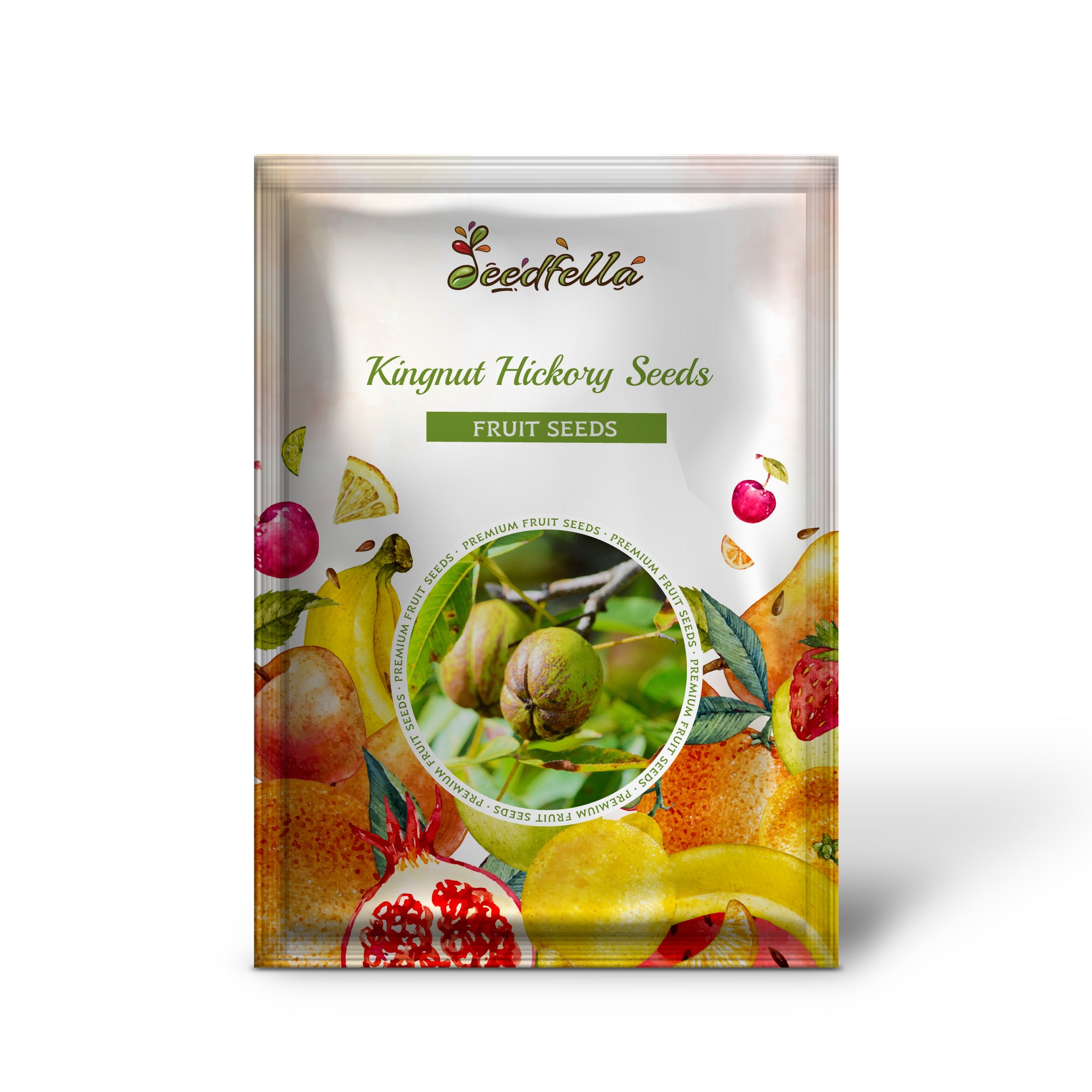 Carya laciniosa Kingnut hickory seeds producing large edible nuts