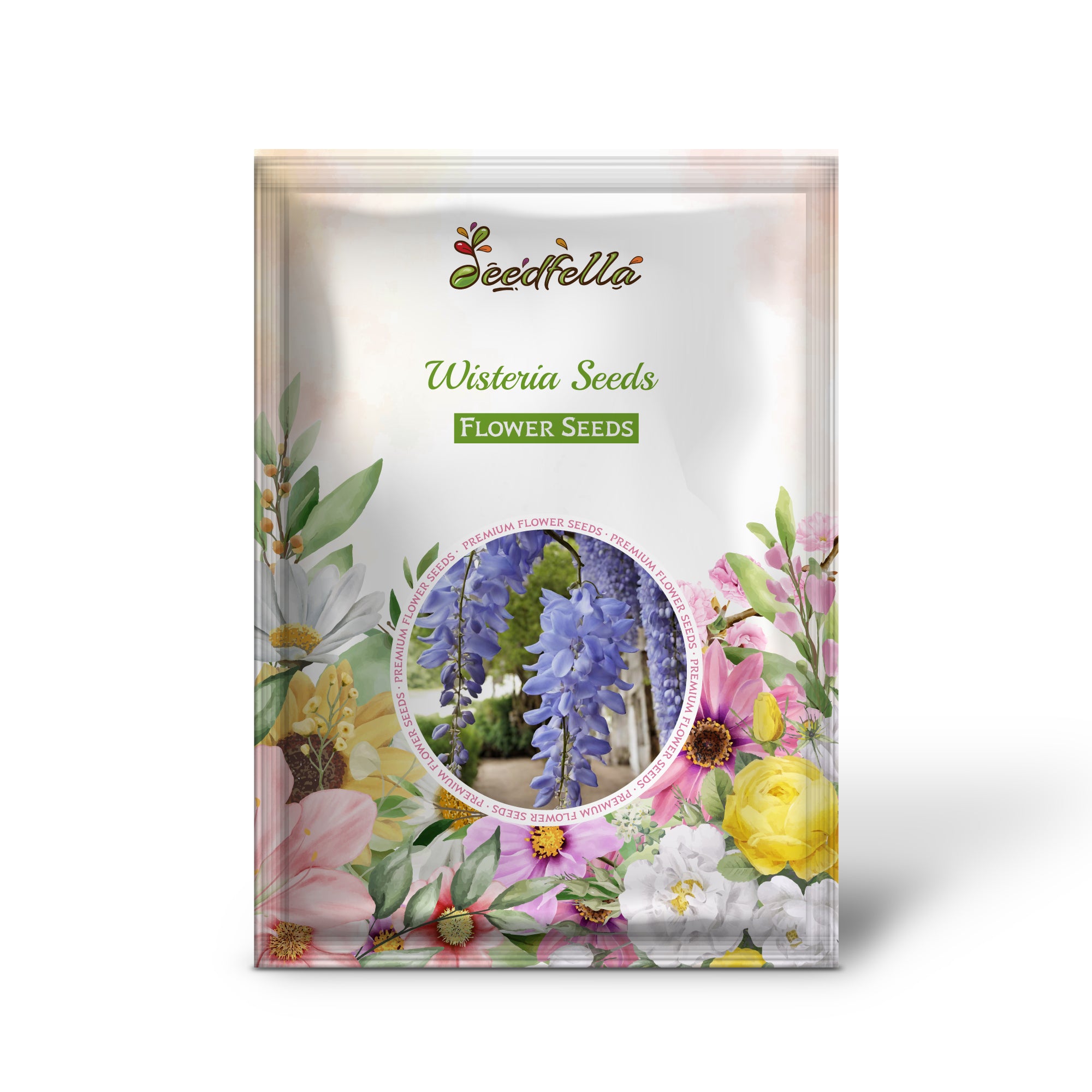 Cascading Wisteria Blooms in Garden