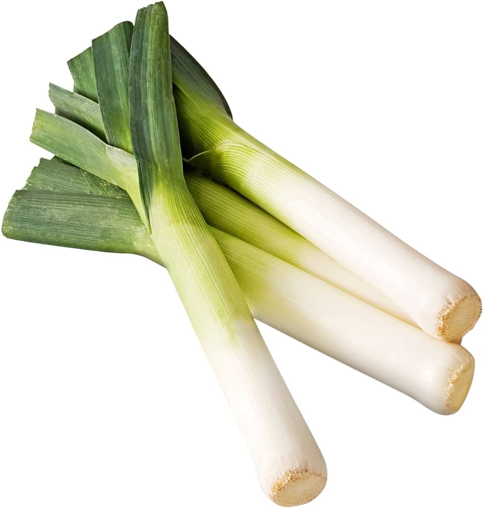 Casimir Leek round allium flower head attracting pollinators