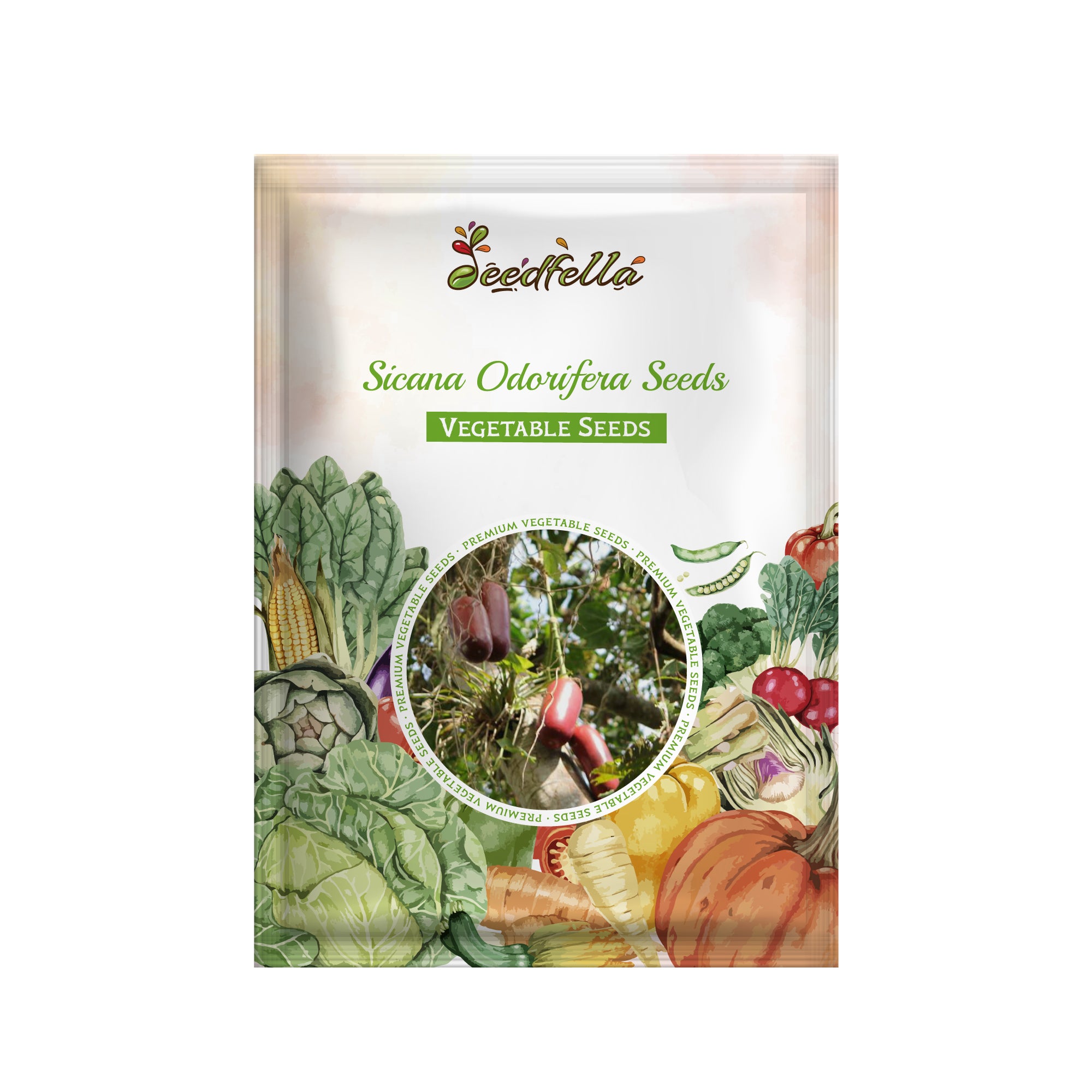 Cassabanana vine with long colorful ornamental fruits