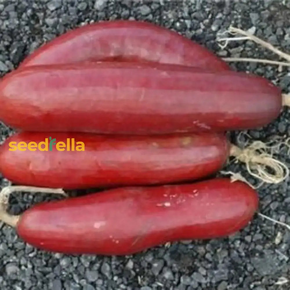 Cassabanana Vegetable Seeds For Gardening Seeds