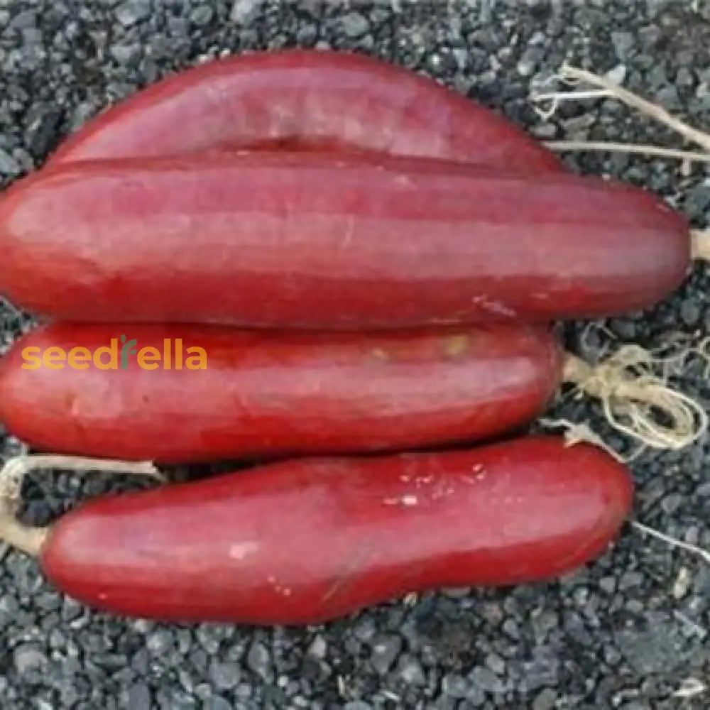 Cassabanana vine growing guide seeds