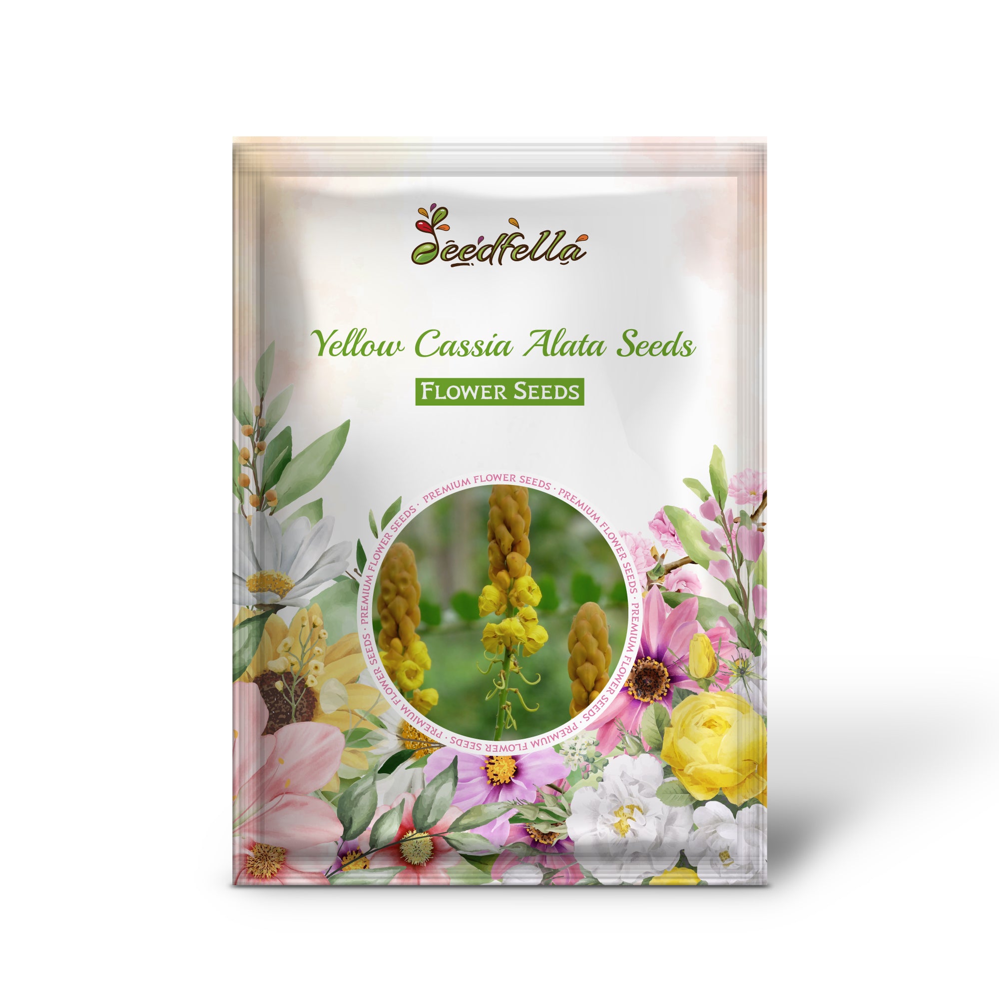 Close-Up of Cassia Alata Yellow Candle-Like Flowers