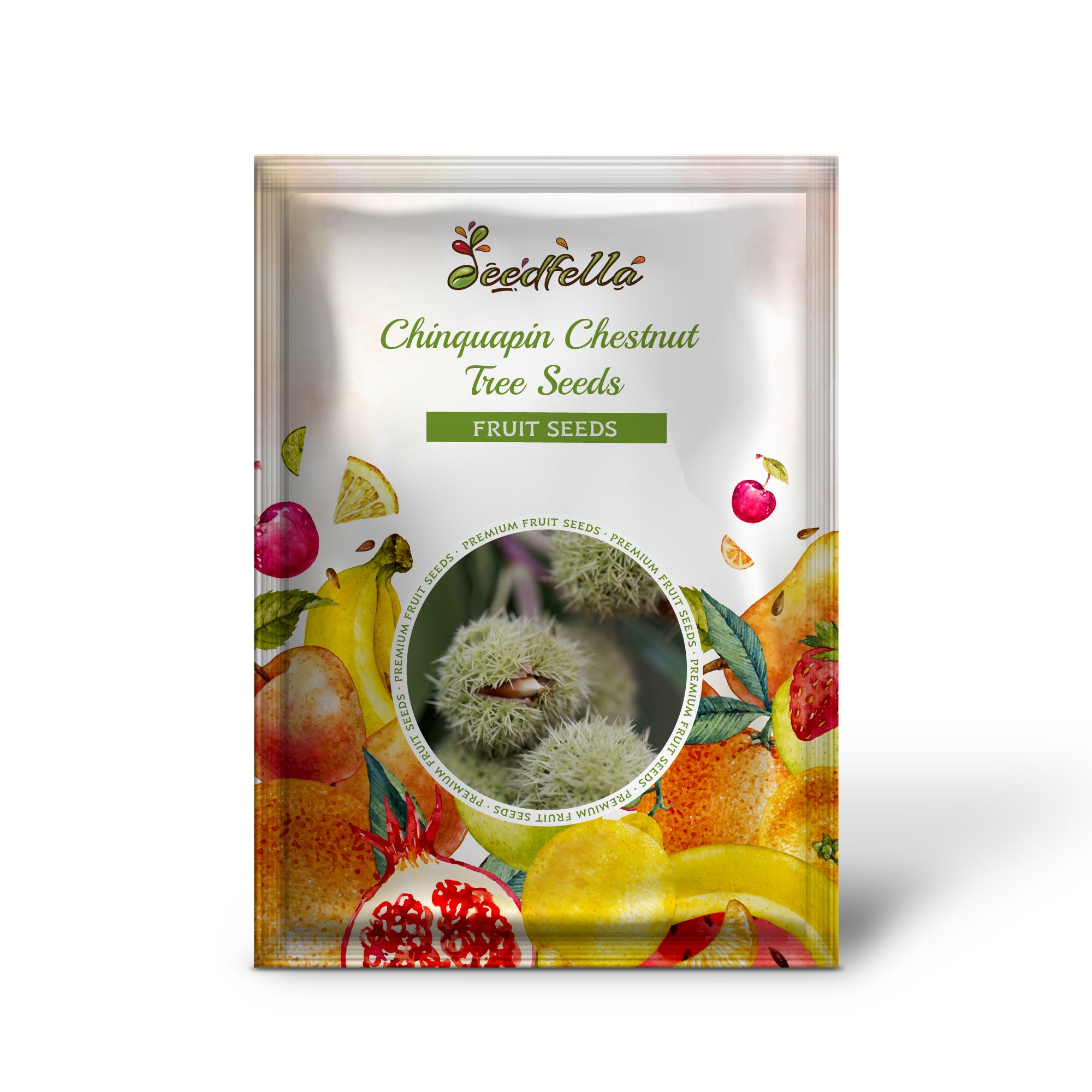 Castanea pumila chinquapin chestnut seeds producing small brown nuts