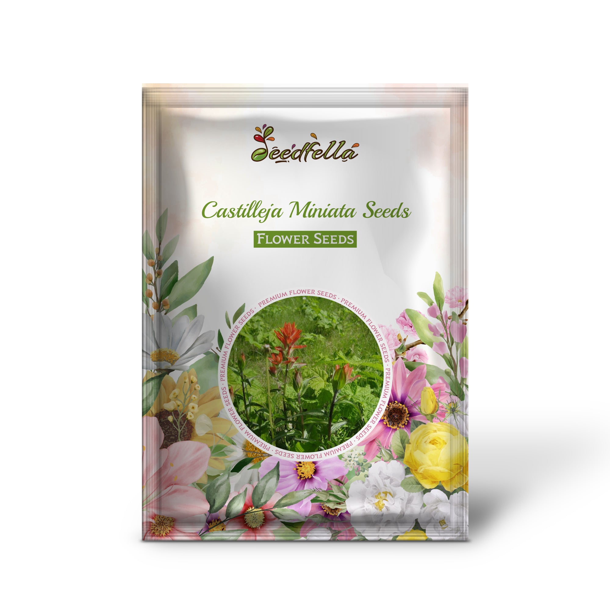 Castilleja Red Indian Paintbrush Seeds