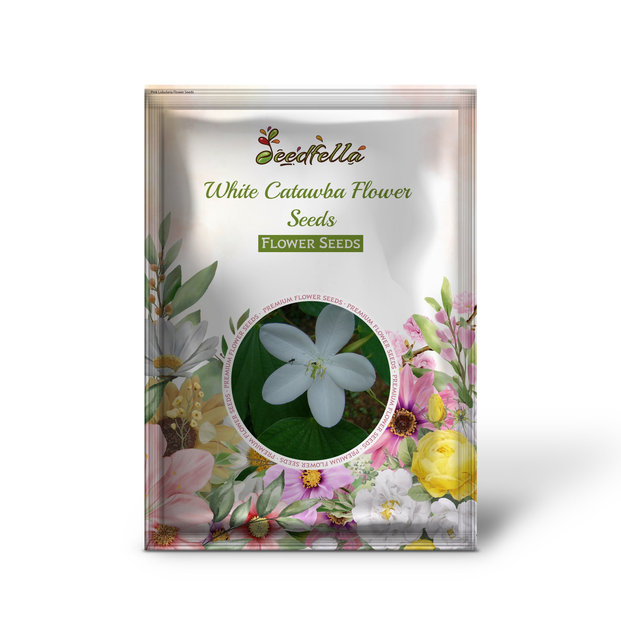 Catawba White Seeds For Planting