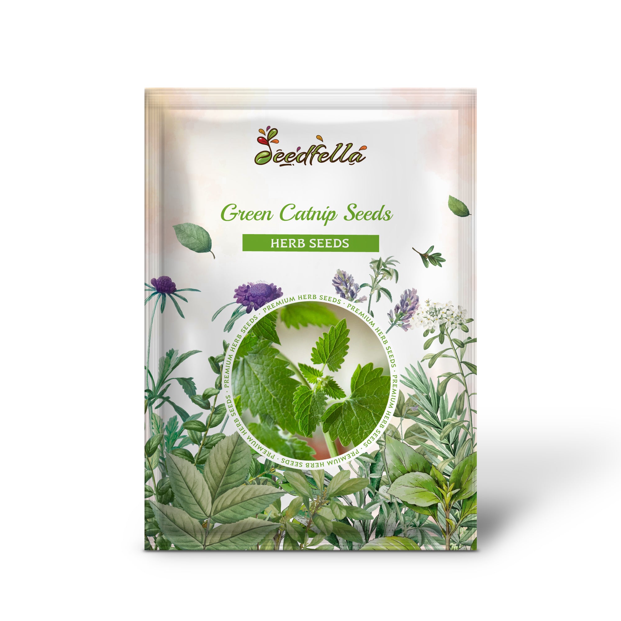 Catnip Seeds – Non-GMO Green Variety for Indoor and Outdoor Planting