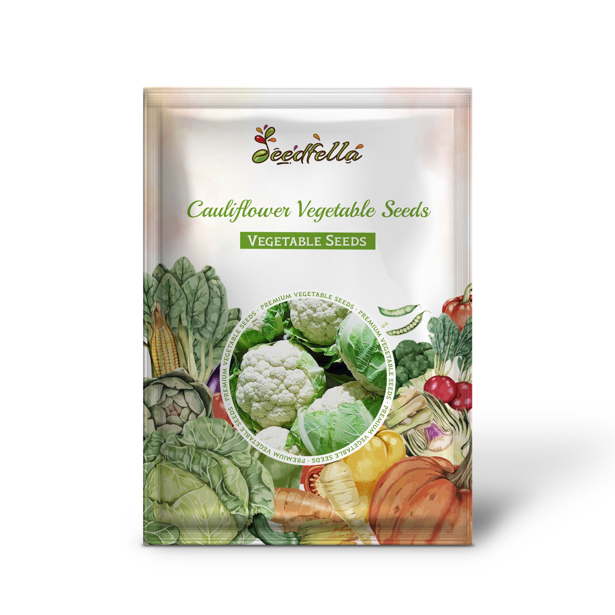 Cauliflower plant growing in garden