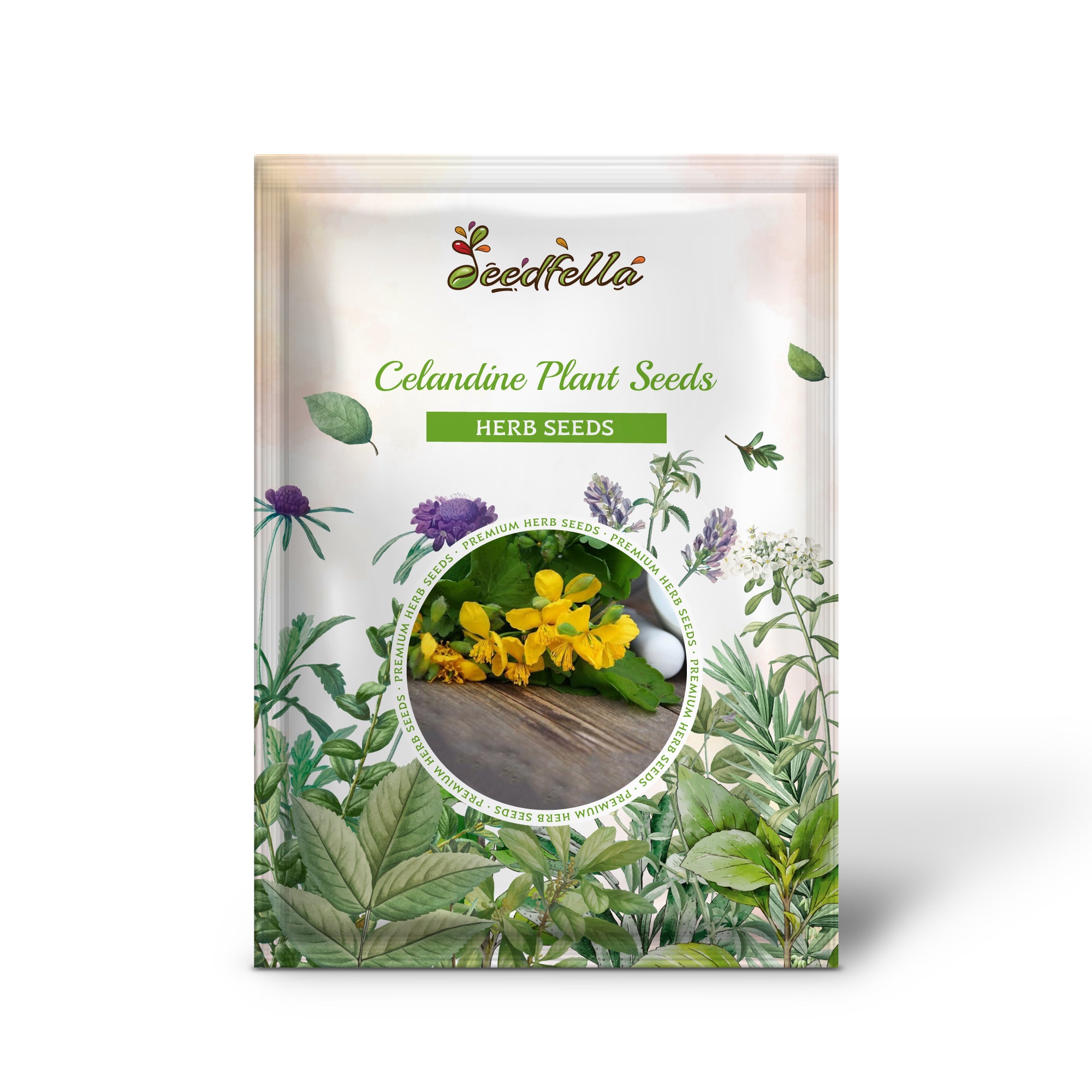 Premium Non-GMO Chelidonium Majus Seeds Pack