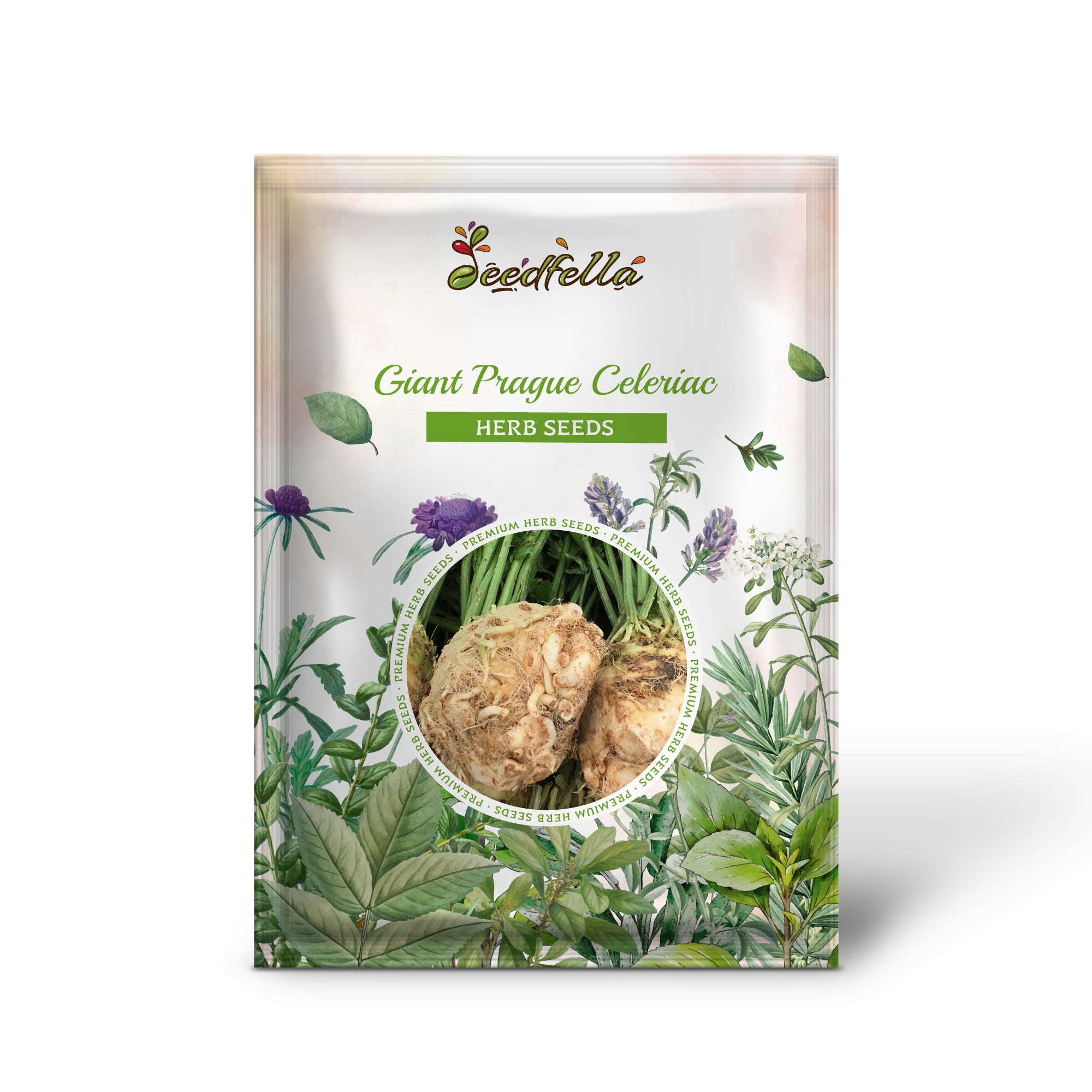 Close-Up of Giant Prague Celeriac Apium Graveolens Cream Edible Roots