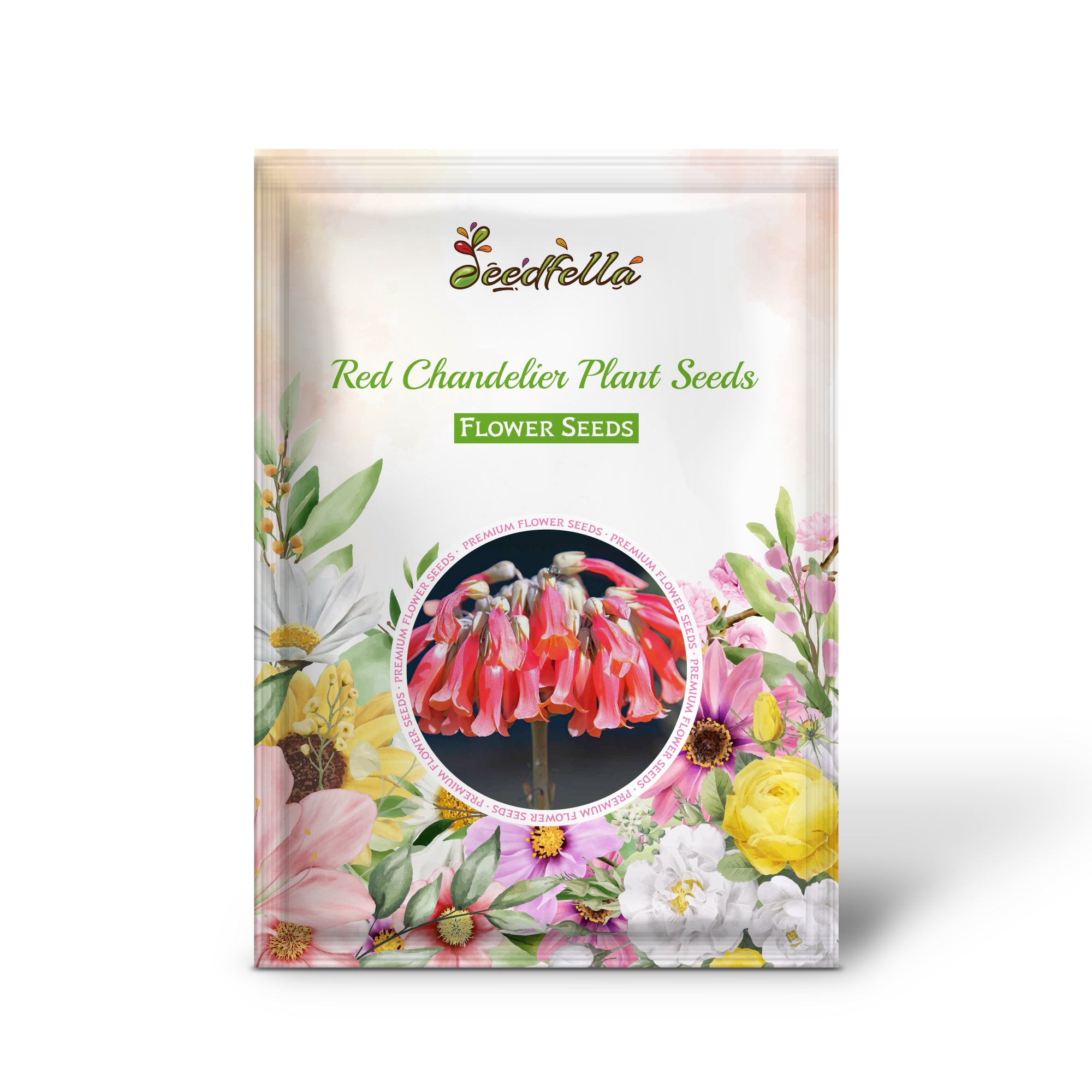 Red Chandelier Plant Blooming in Garden