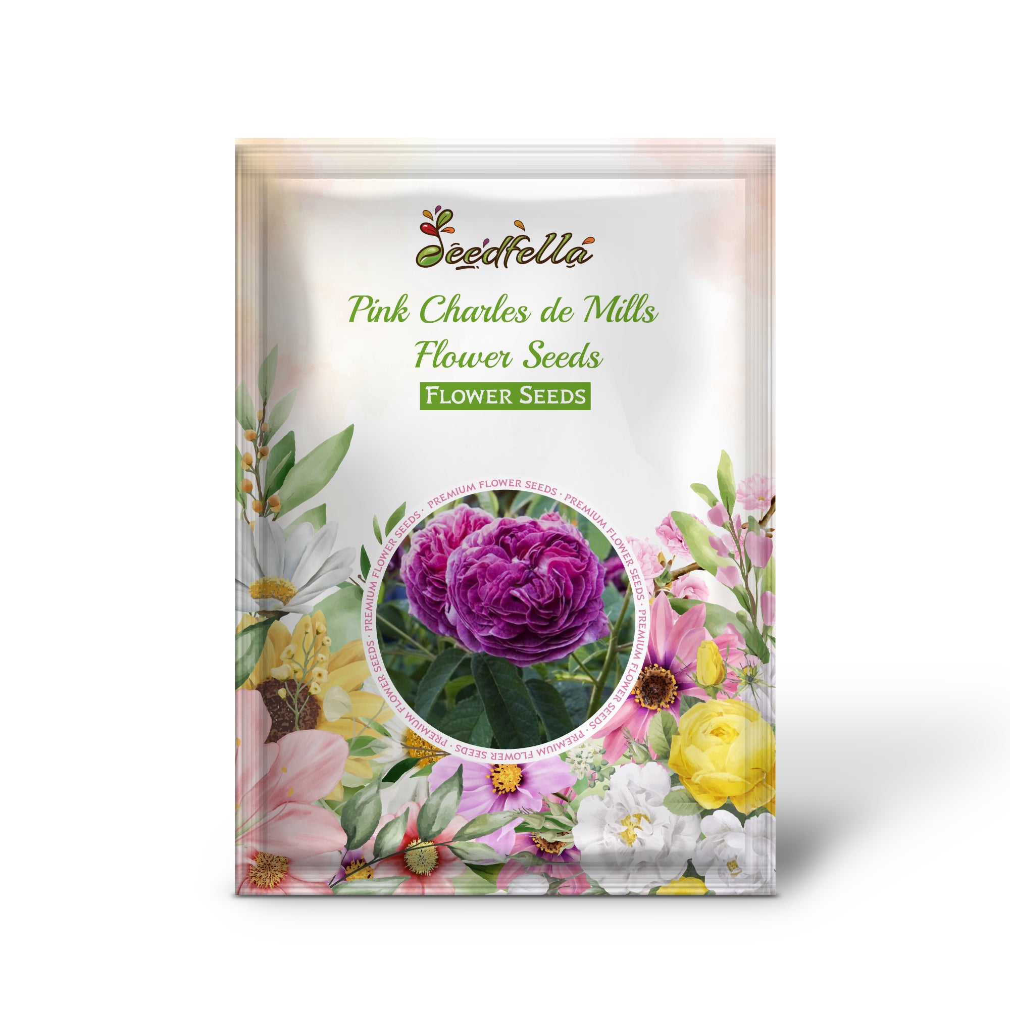 Charles de Mills pink rose blooms in garden