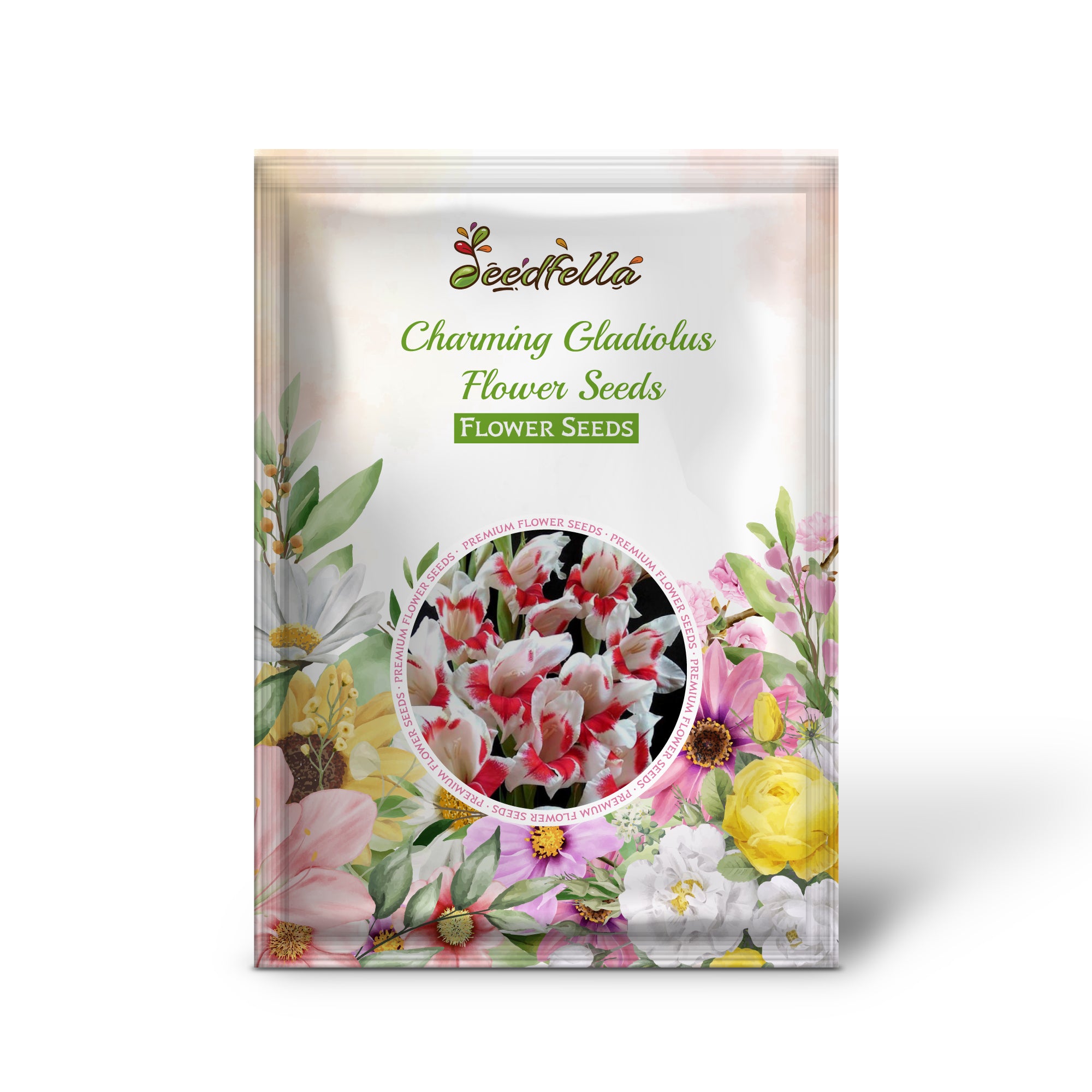 Charming Gladiolus Blooms in Red and White Shades