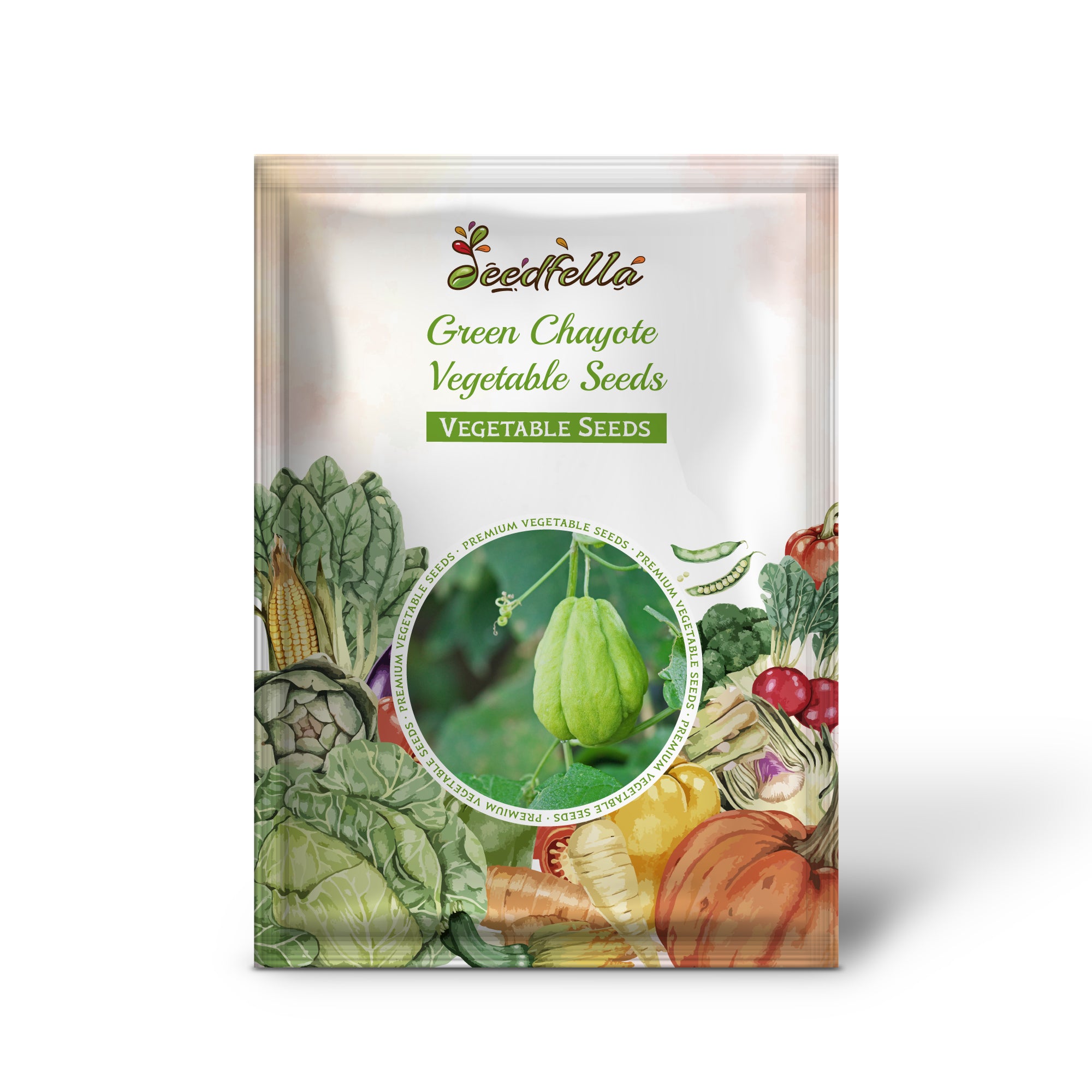 Healthy green chayote seedlings sprouting in soil