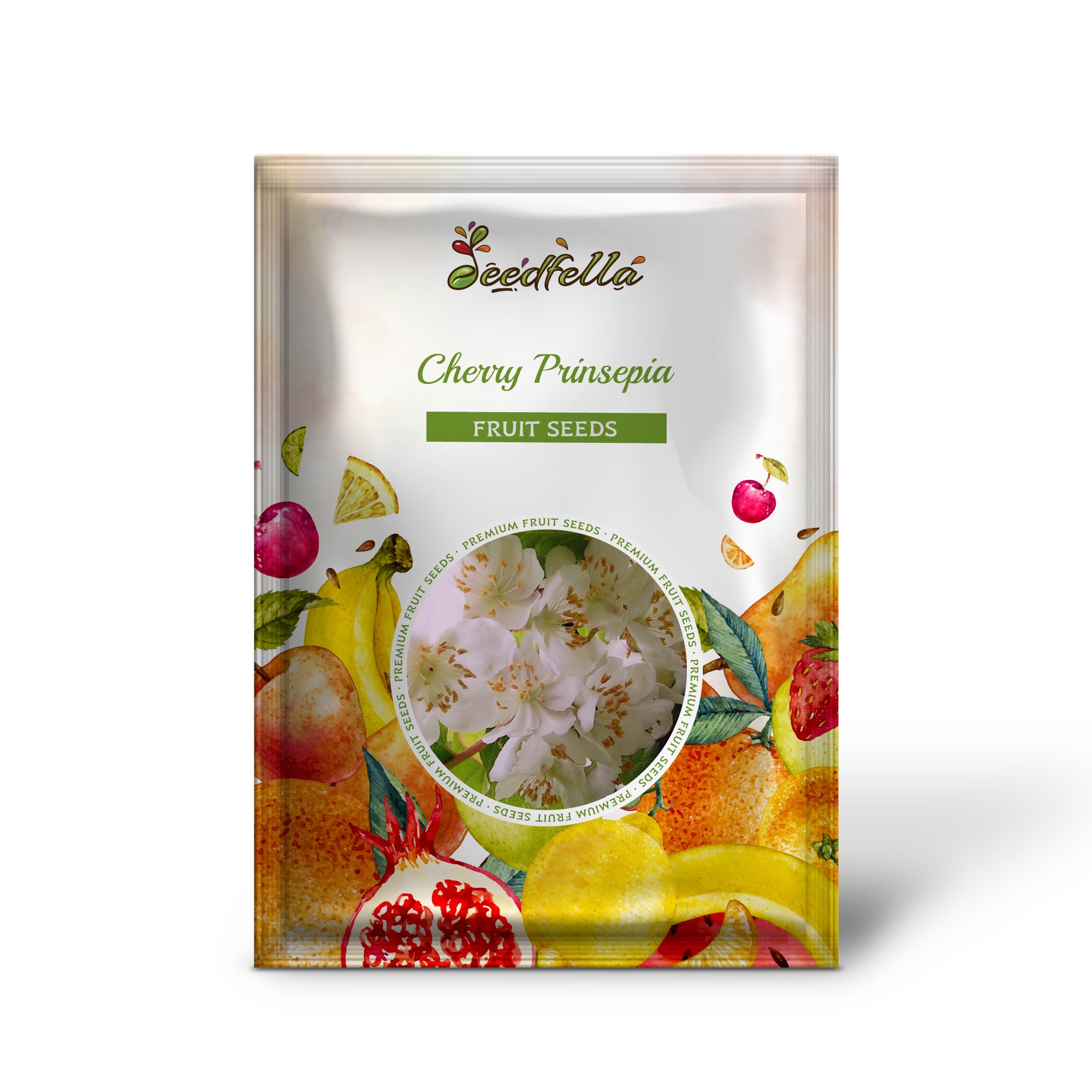 Cherry Prinsepia seeds showing bright red edible fruits closeup